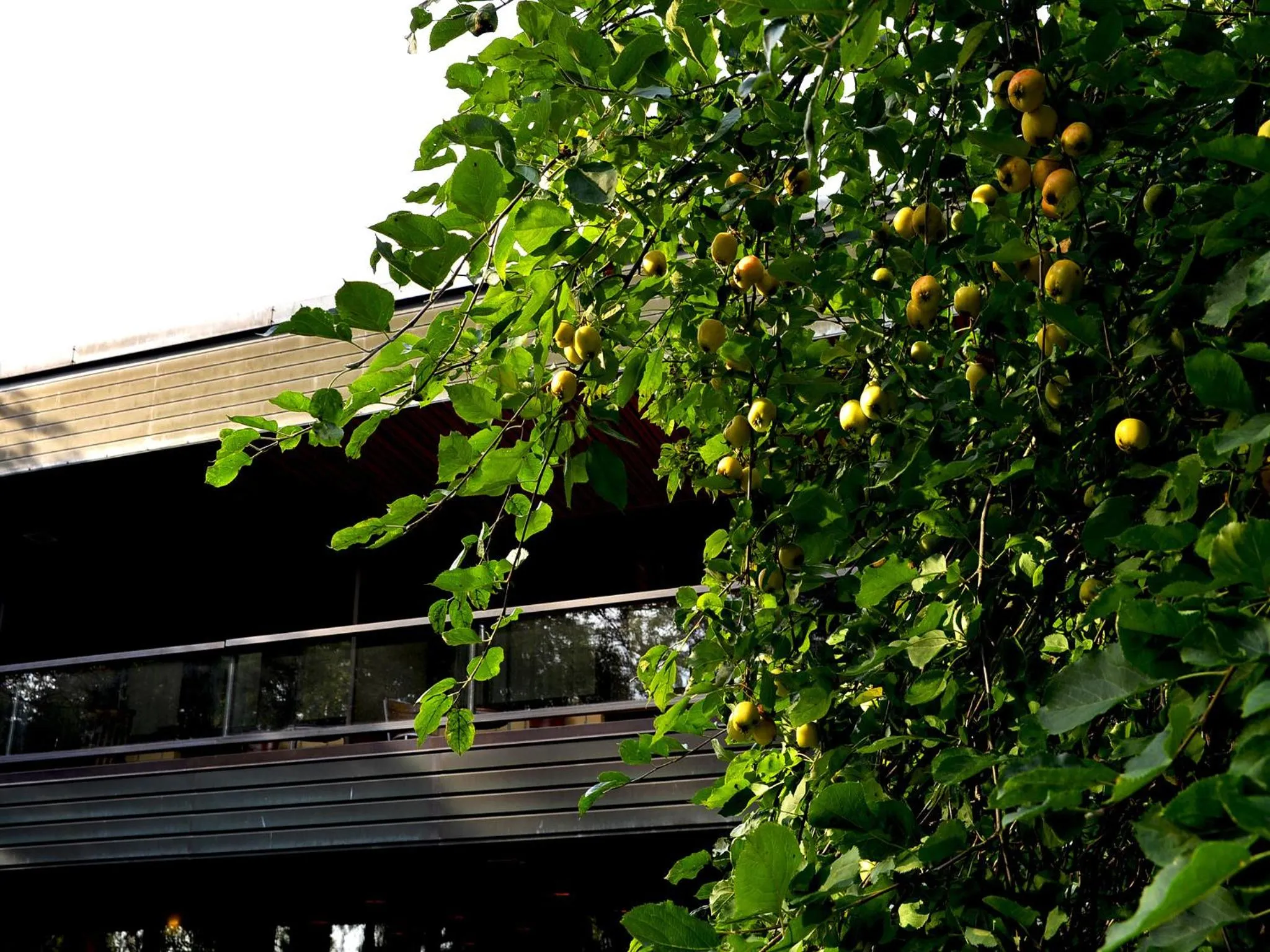 Property building in Hotel Fjalar