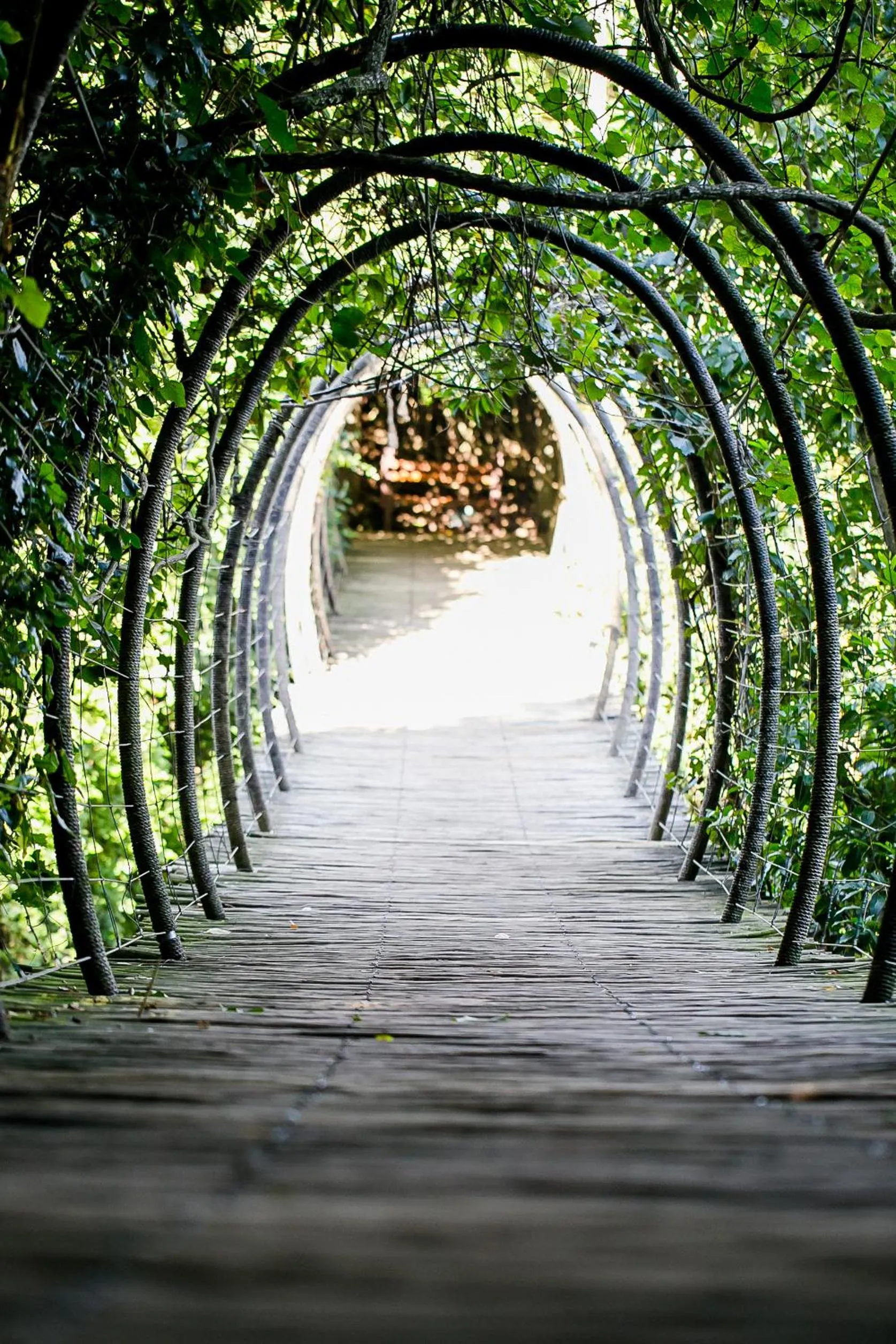 Natural landscape in Knysna Log-Inn Hotel