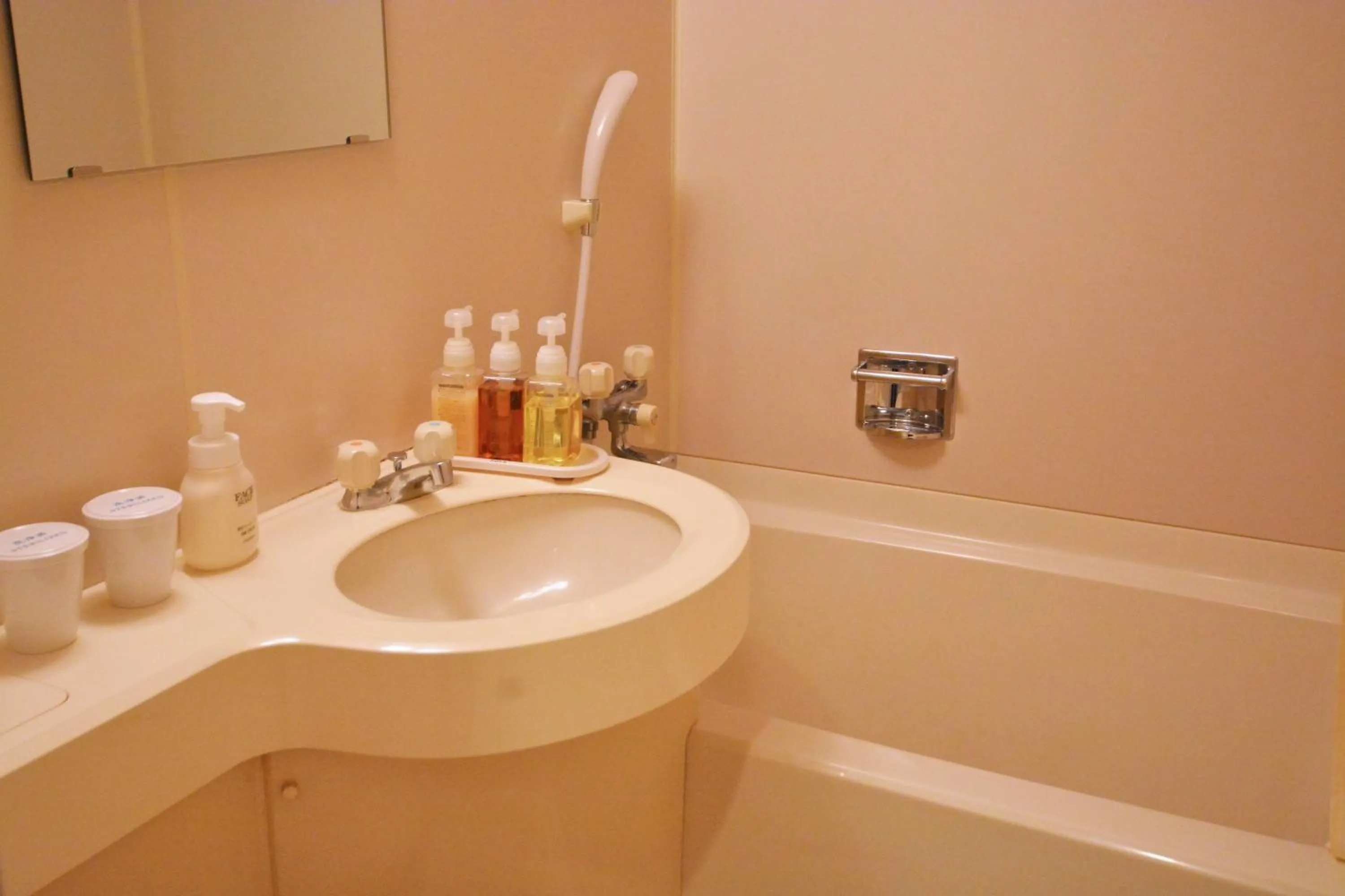 Bathroom in Nikko Tokinoyuu