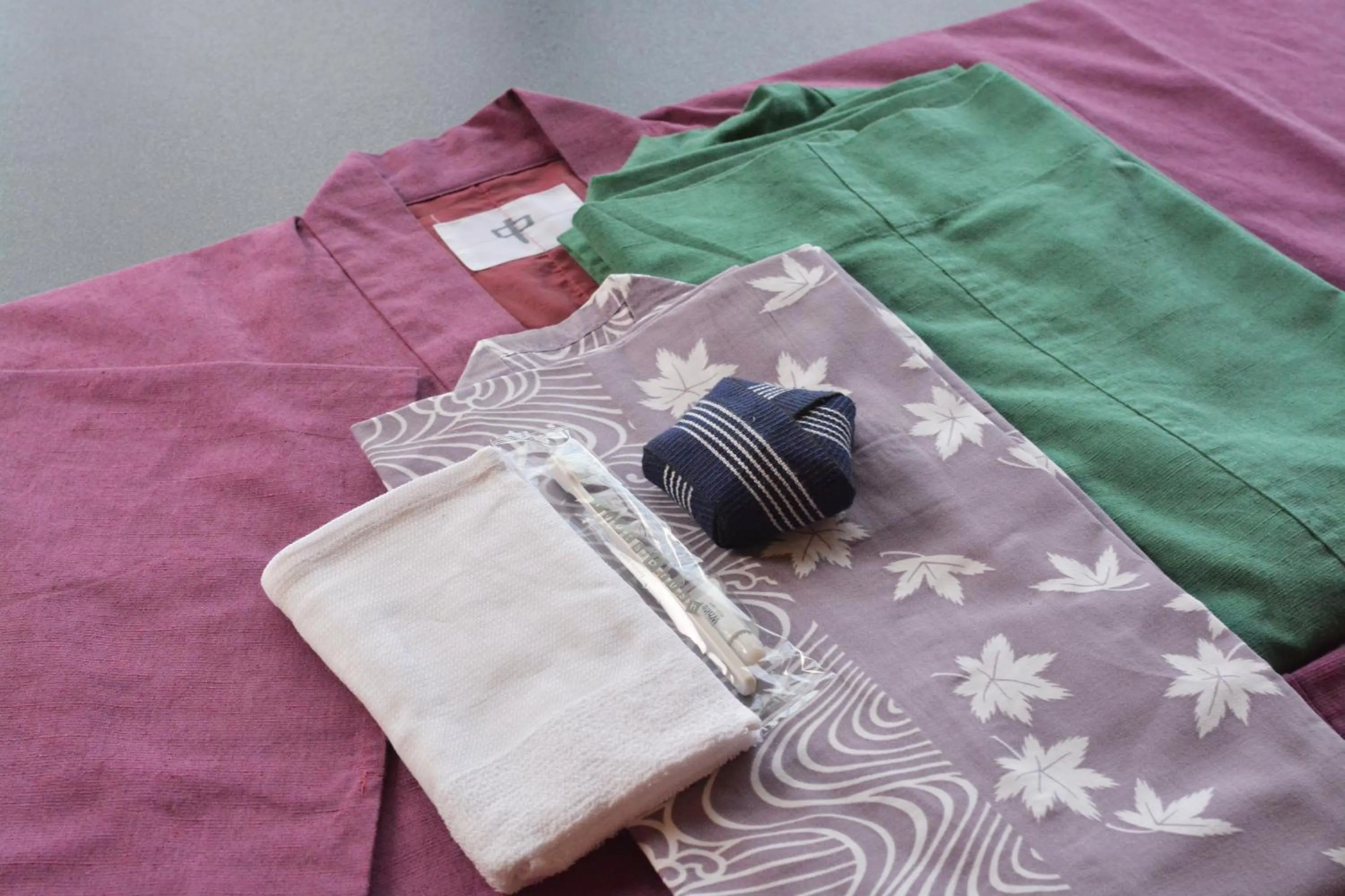 Other in Nikko Tokinoyuu