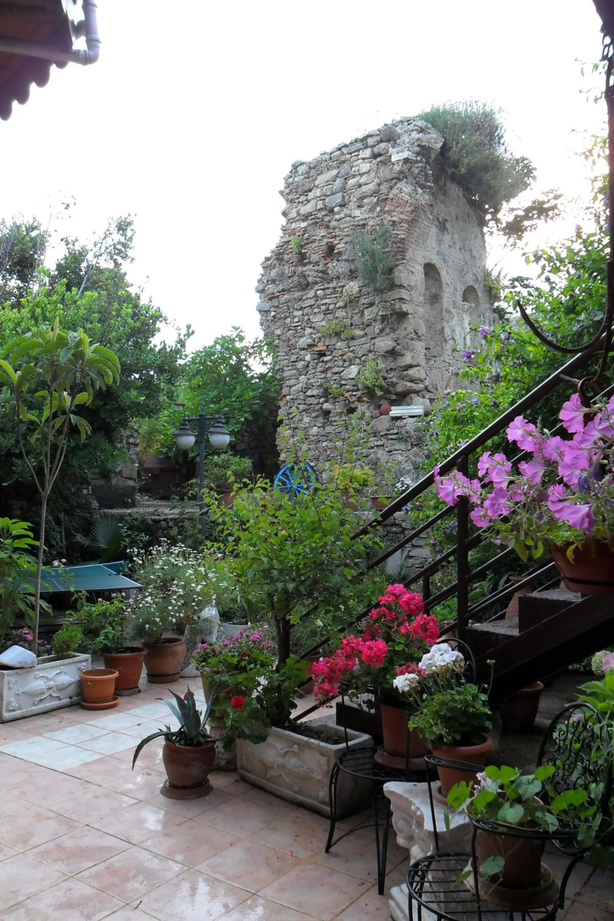 Garden in Beach House Hotel