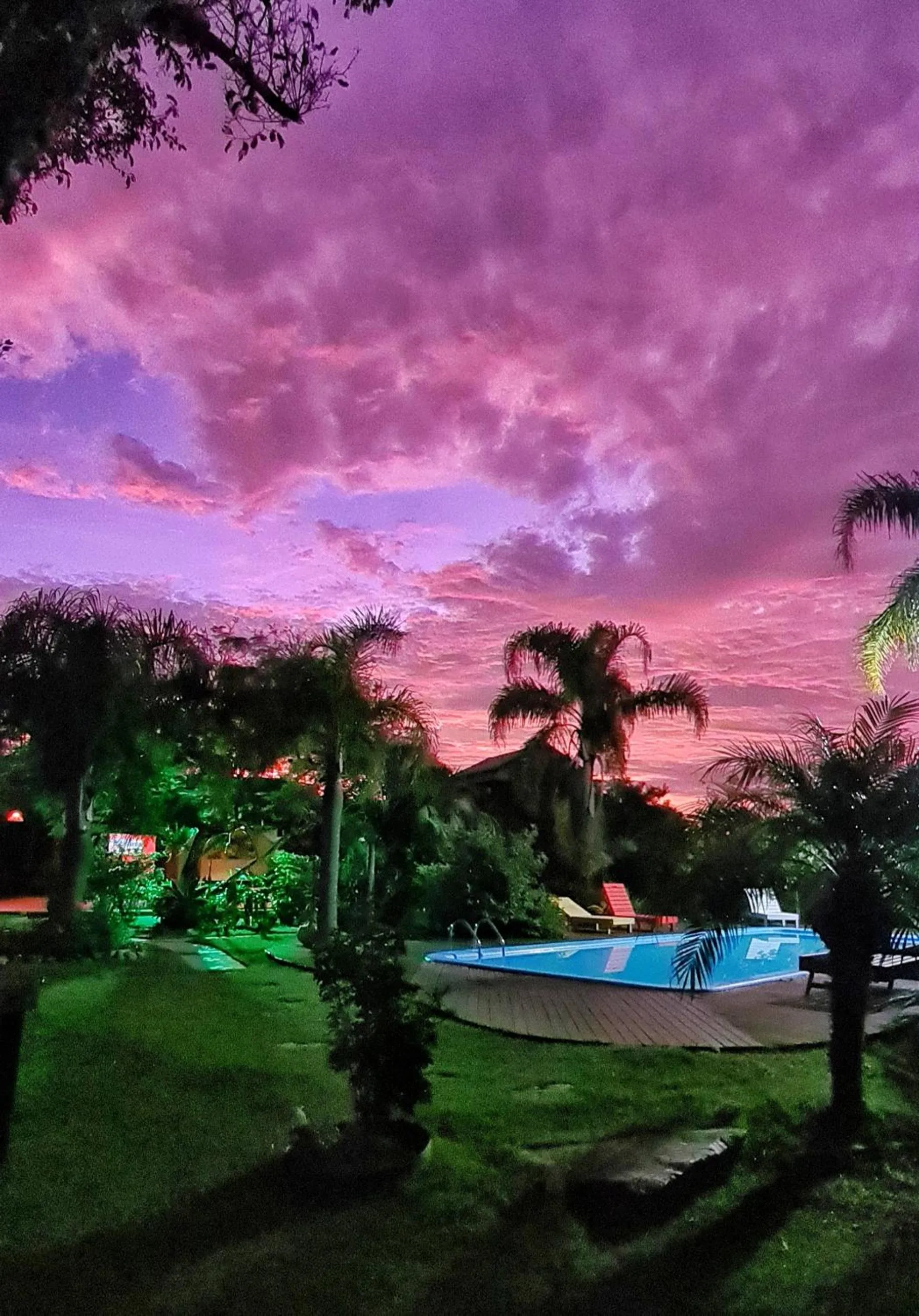 Garden in Pousada Areias do Embaú