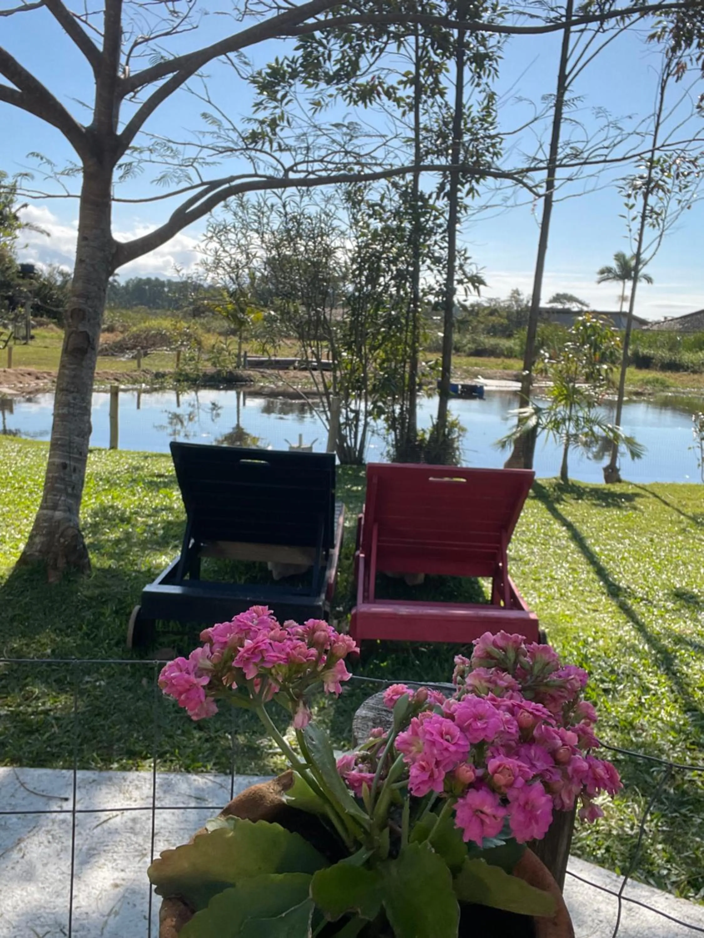Landmark view in Pousada Areias do Embaú