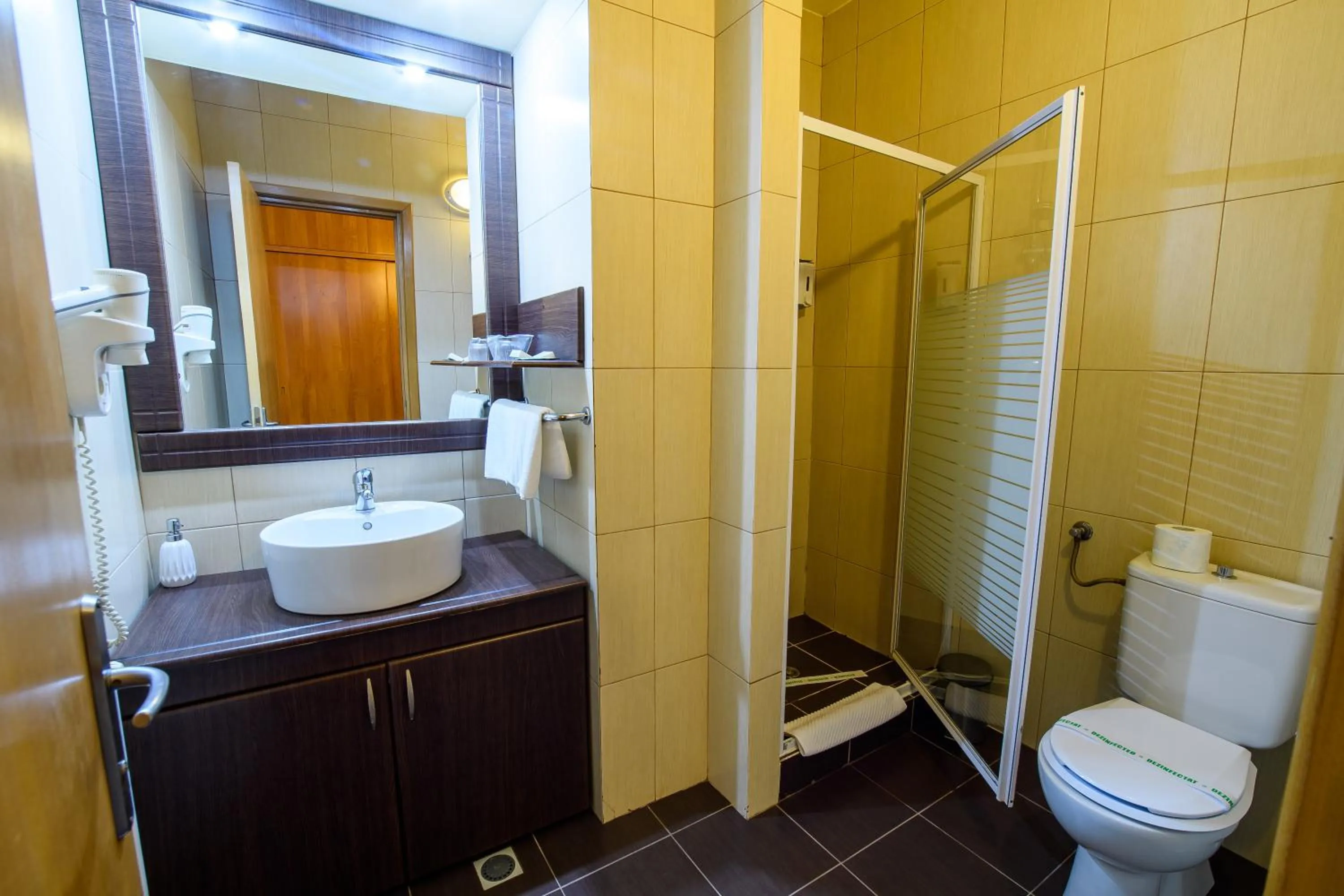 Bathroom in Hotel Torontal