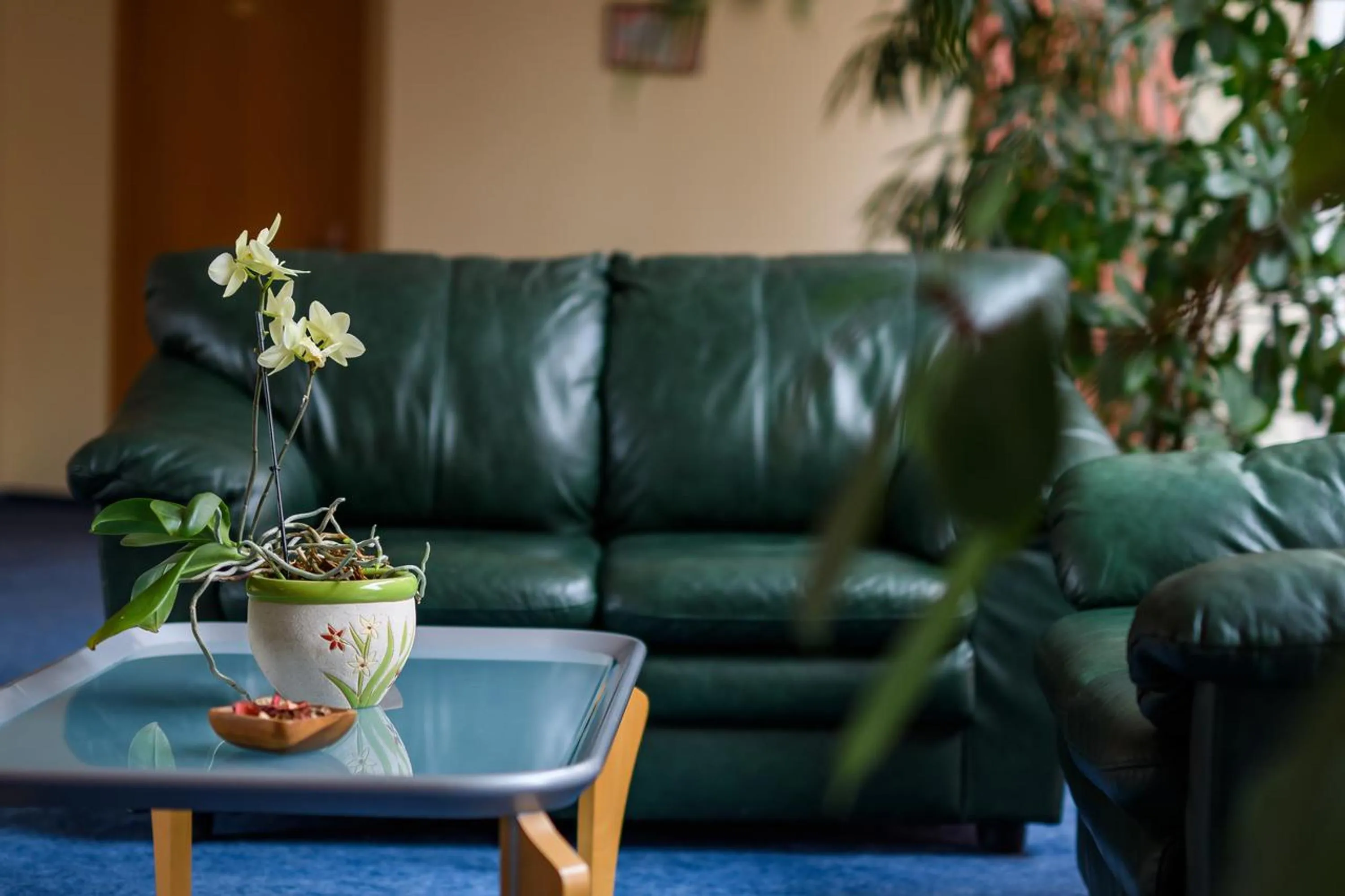 Decorative detail in Hotel Torontal