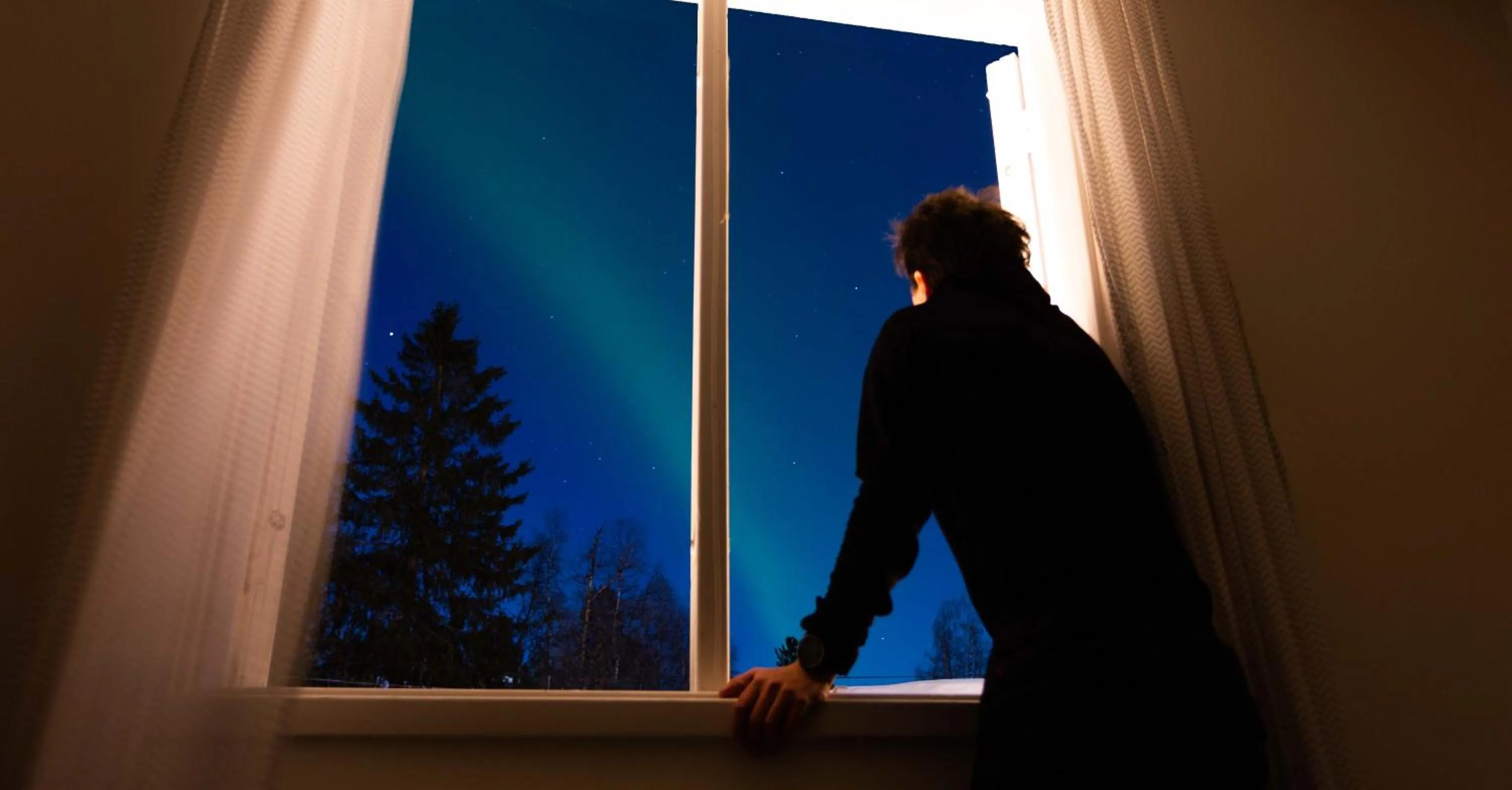 Garden view in Ammarnäs Wärdshus