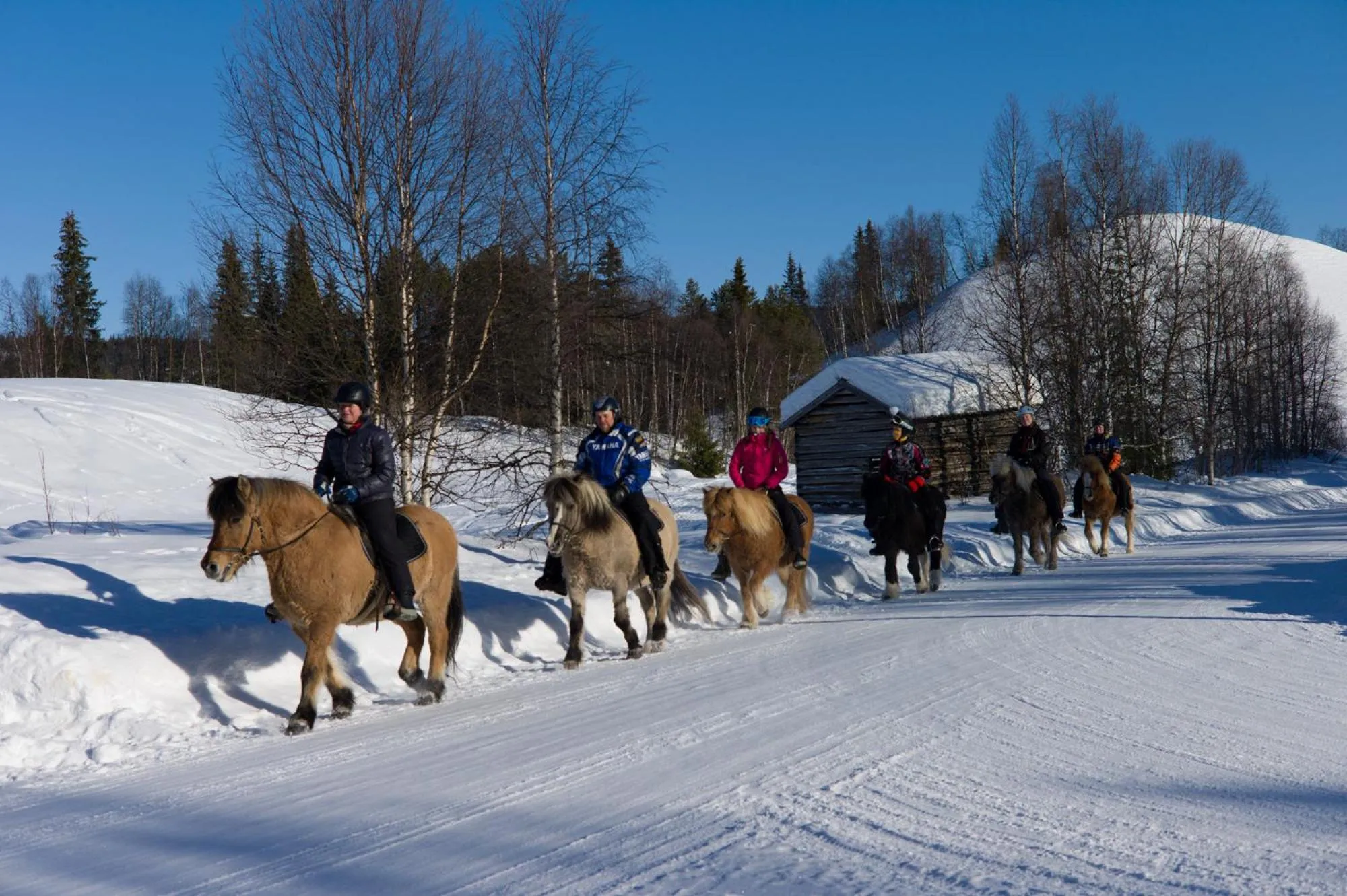 Horse-riding in Ammarnäs Wärdshus