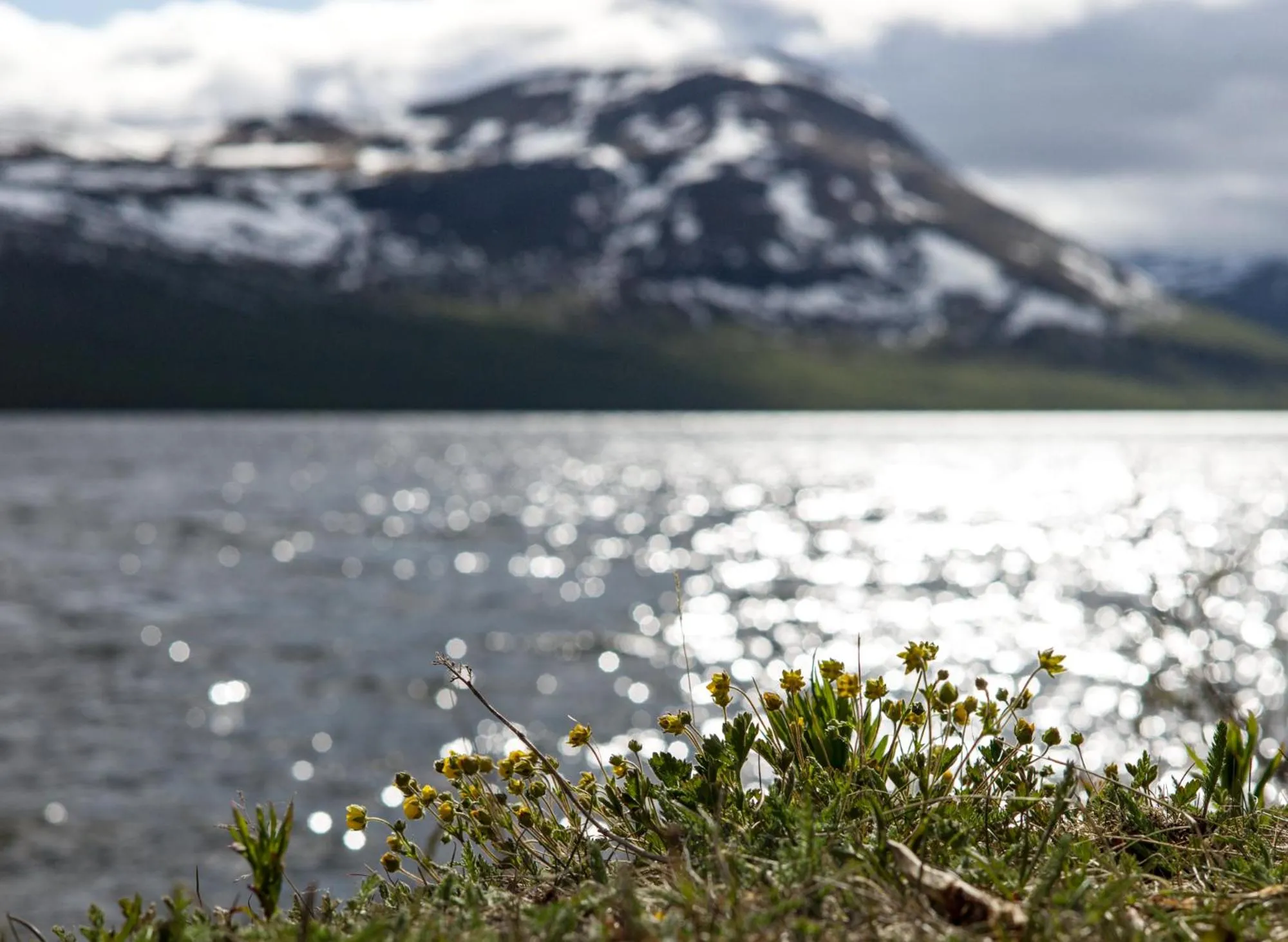 Natural landscape in Ammarnäs Wärdshus