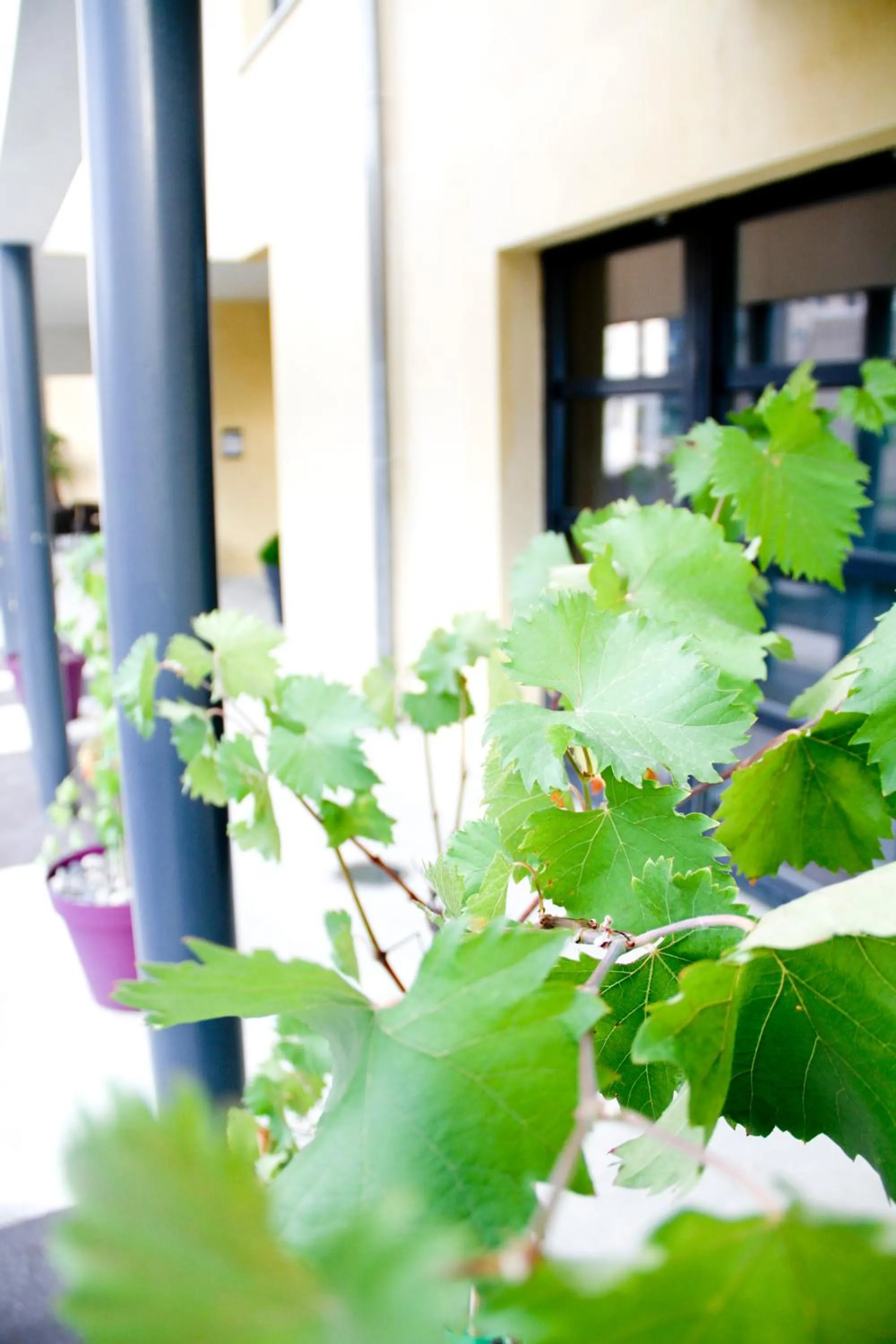 Facade/entrance in Park Wilson Airport