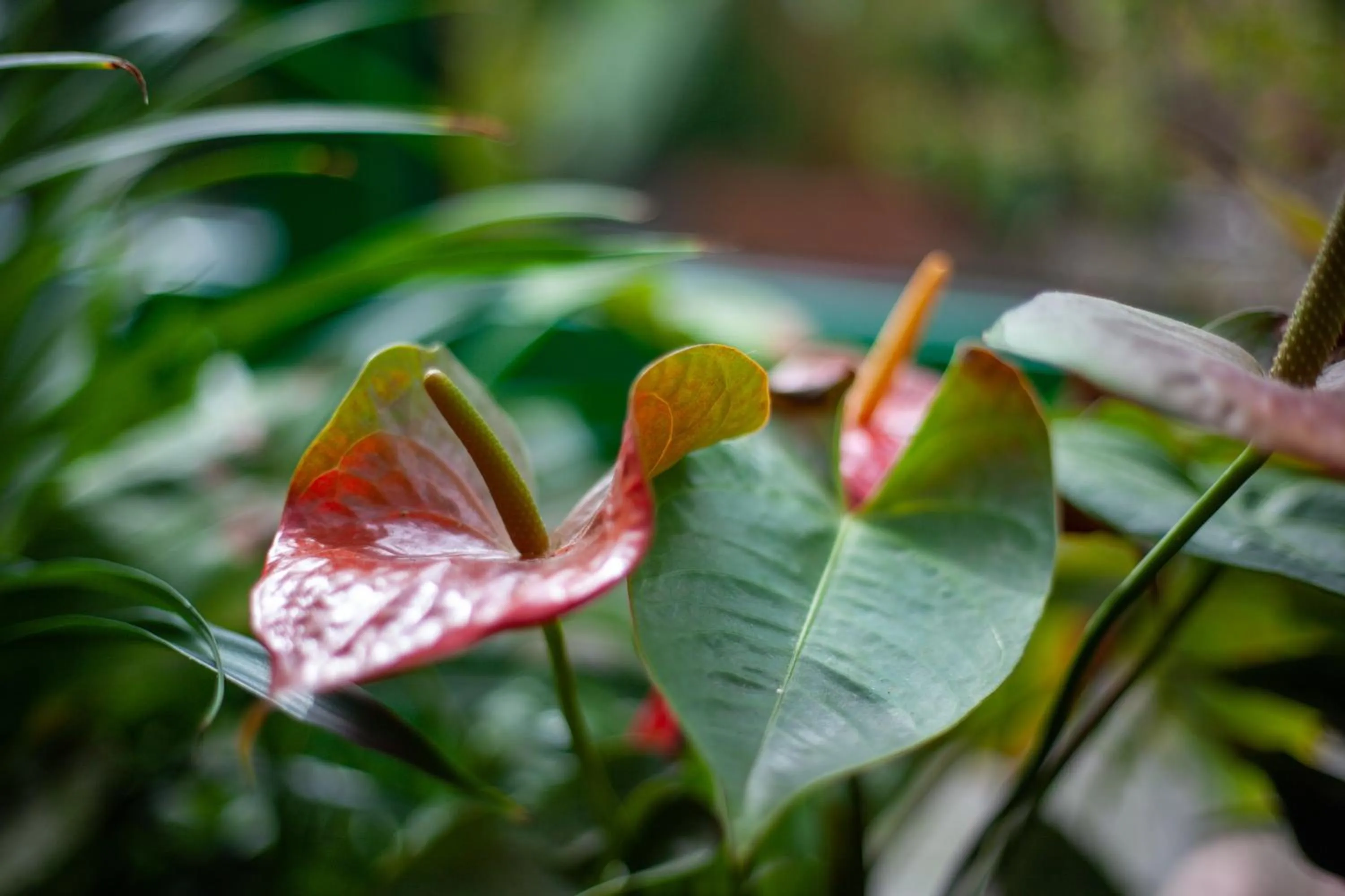 Decorative detail in Hotel Landsberg