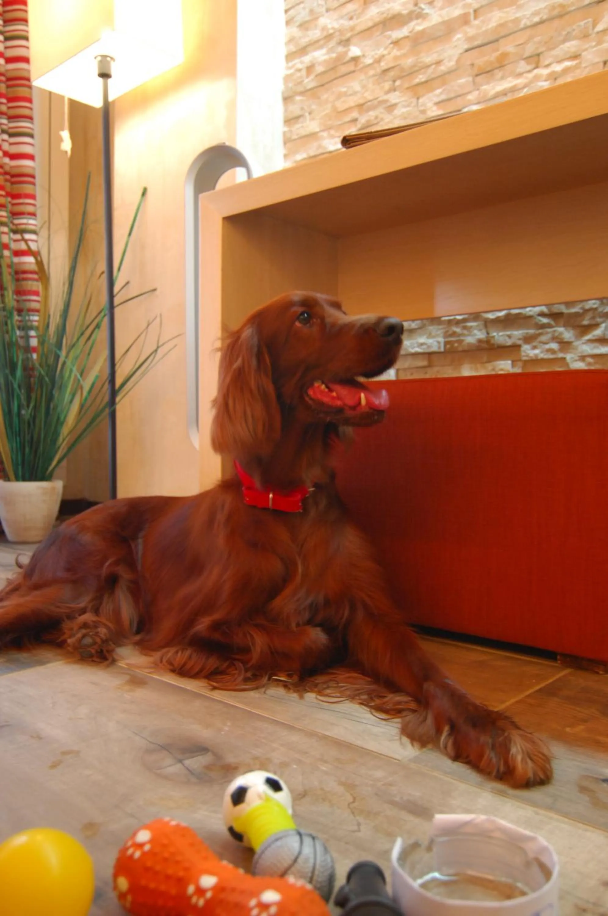 Ioana Boutique Hotel