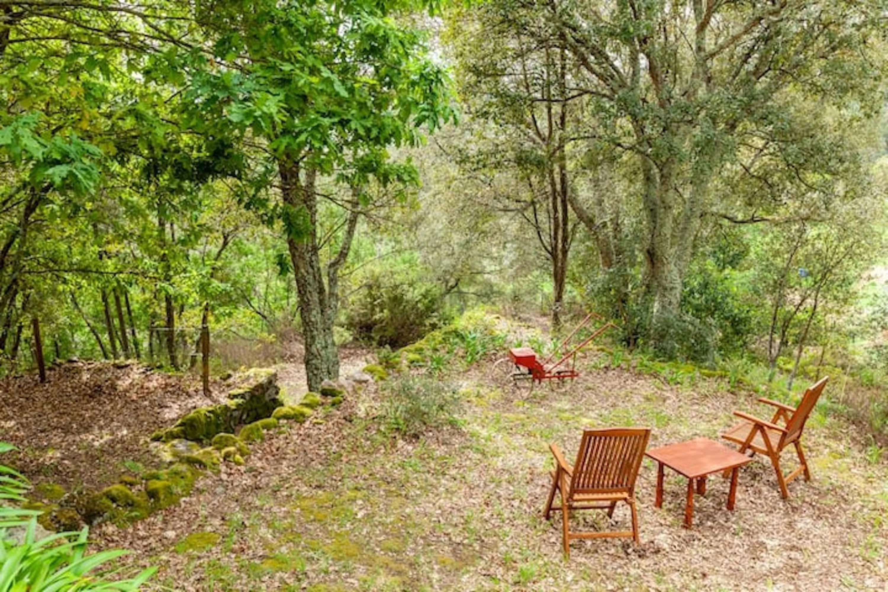 Garden in Casa do Cabeço