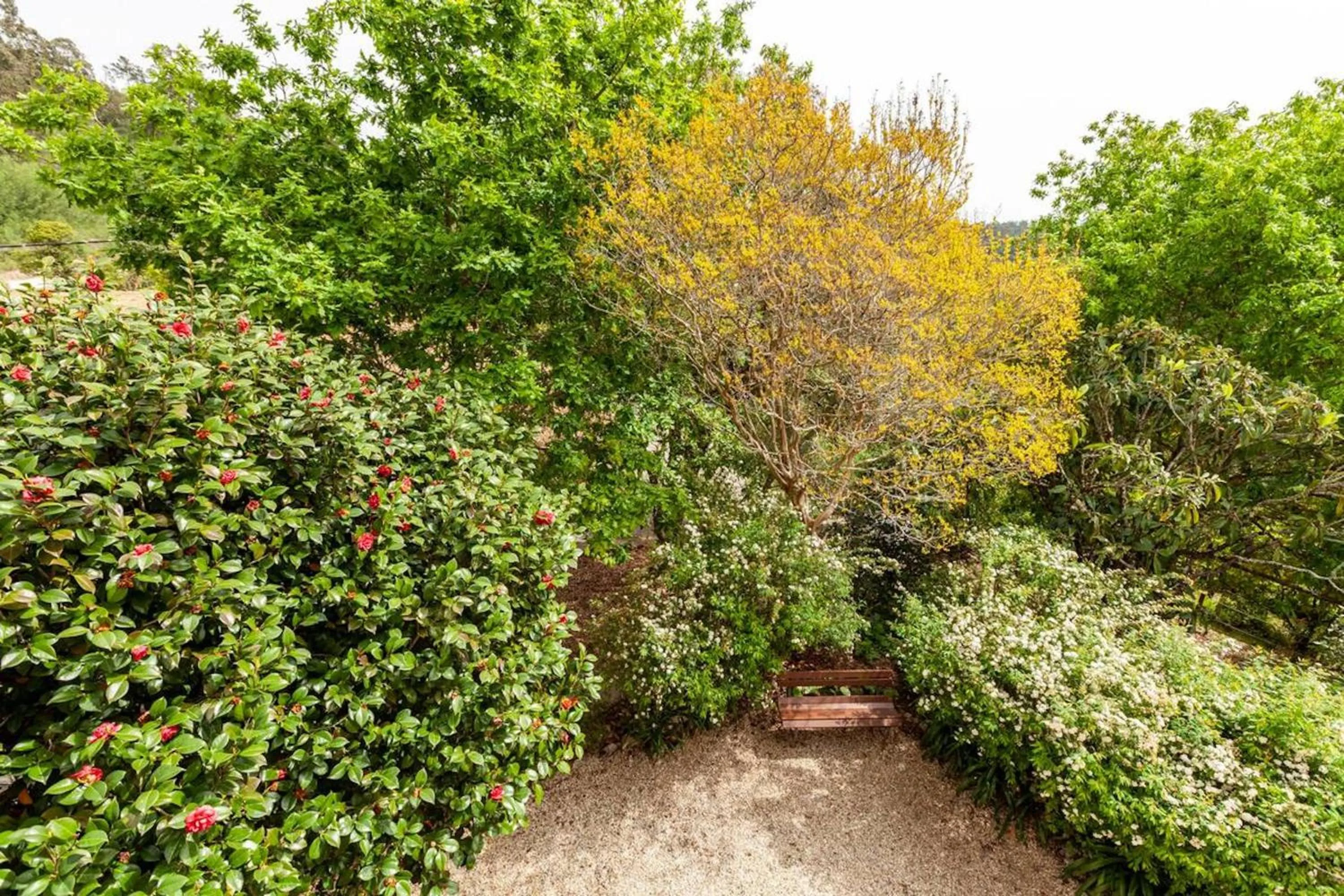 Garden in Casa do Cabeço