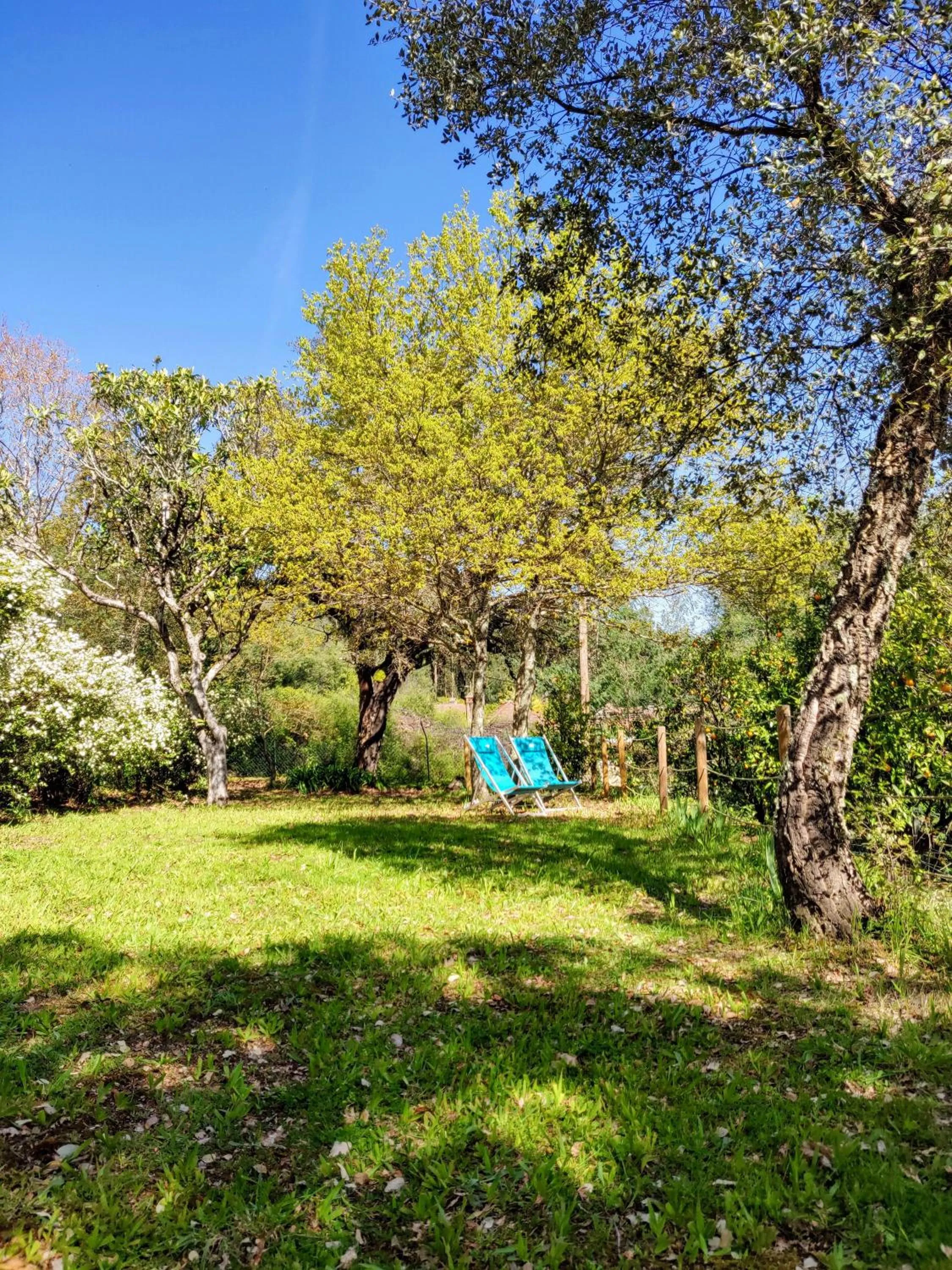 Garden in Casa do Cabeço
