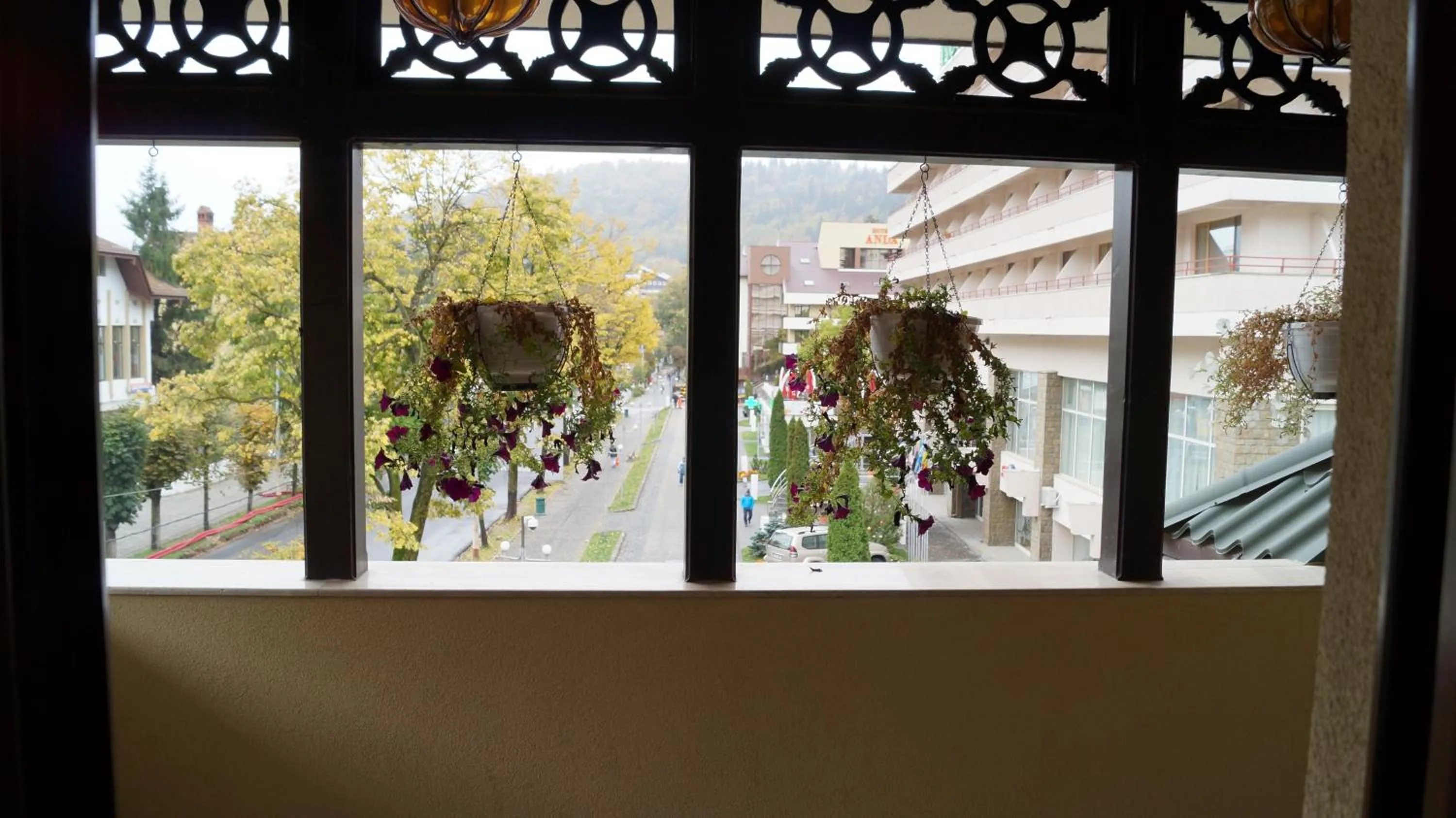 Decorative detail in Hotel Bucegi