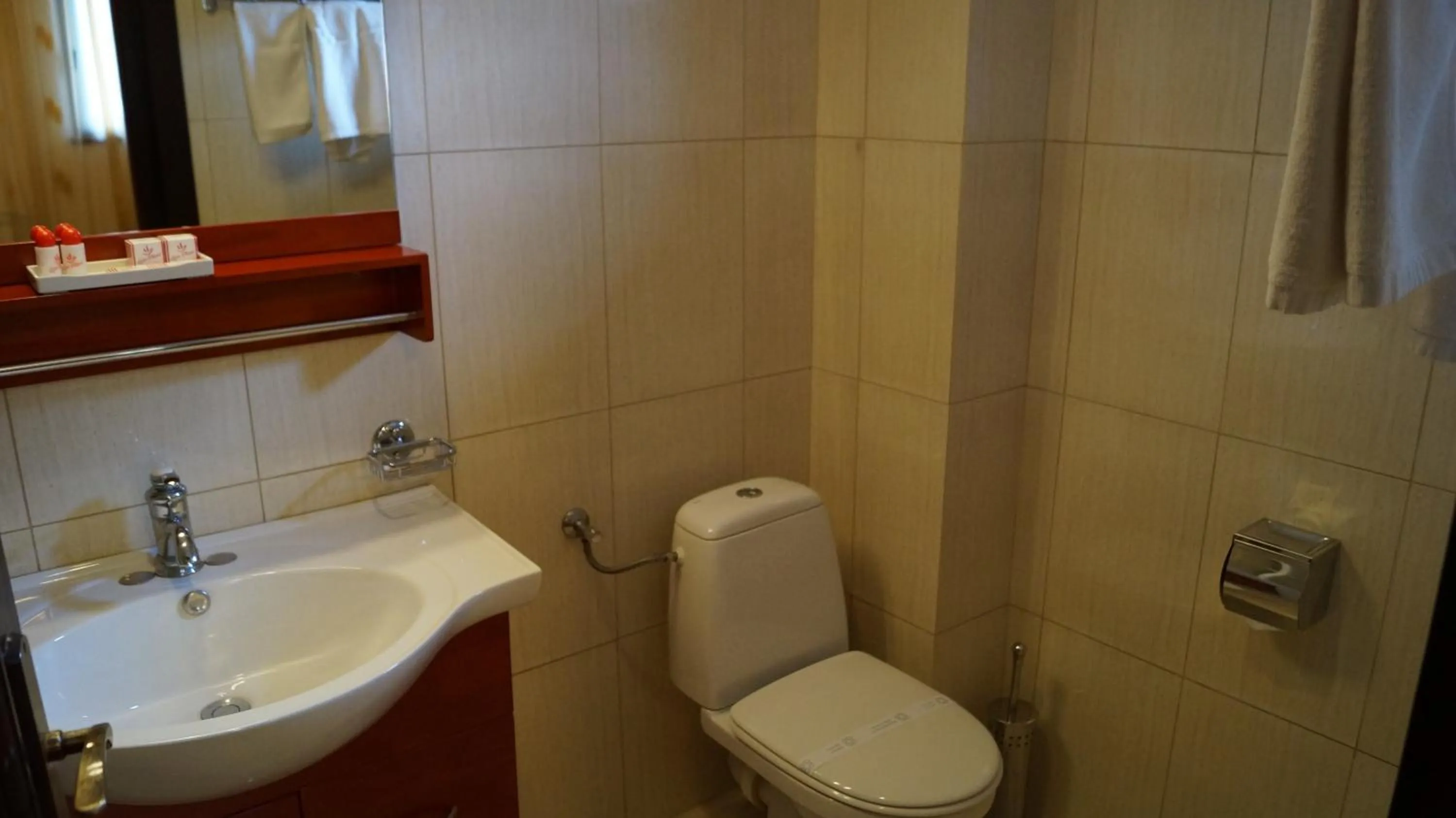 Bathroom in Hotel Bucegi