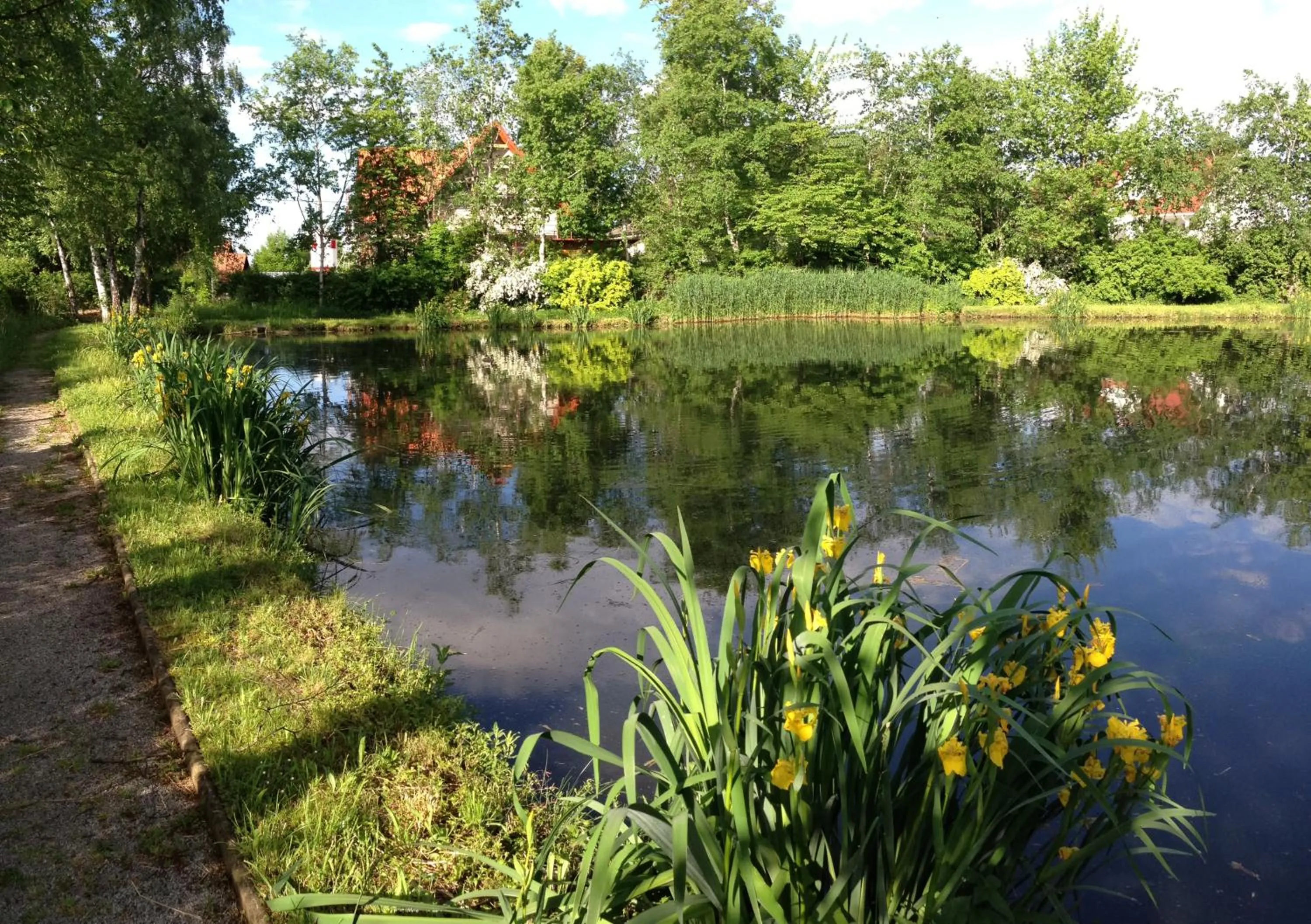 View (from property/room) in DORMERO SeHo Graz