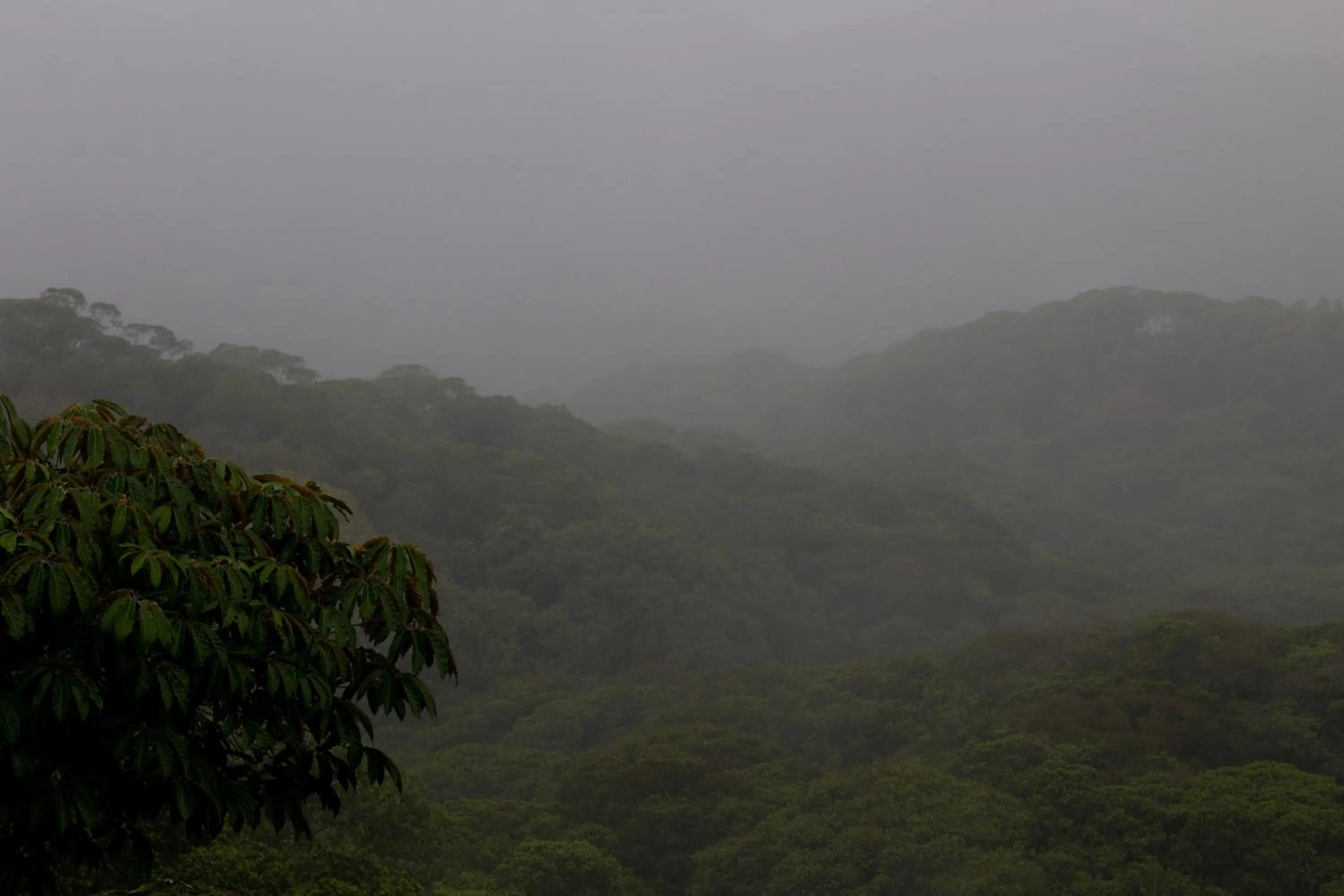 Natural landscape in Hotel Three Sixty - Adults Only