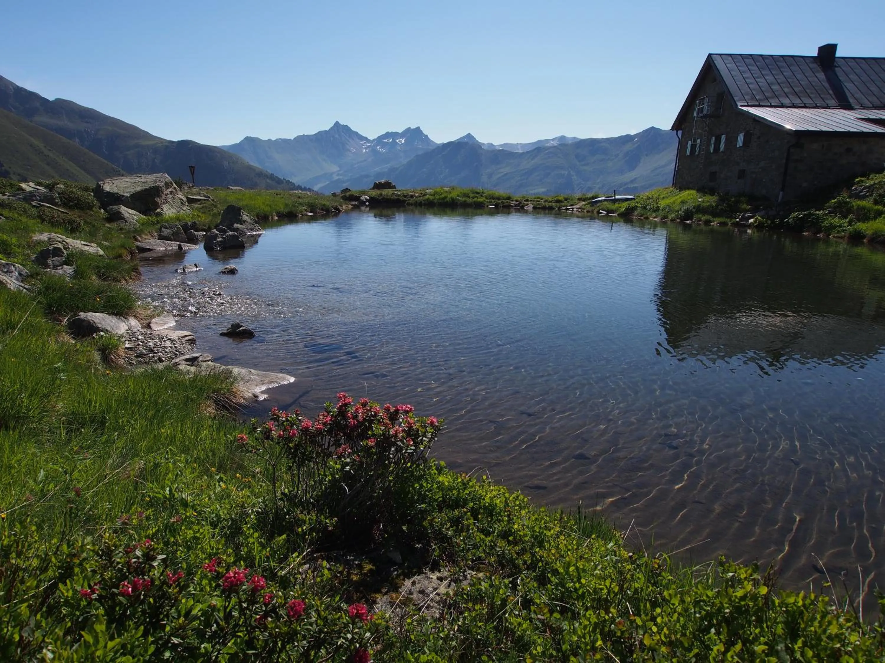 Natural landscape in Belavita B&B