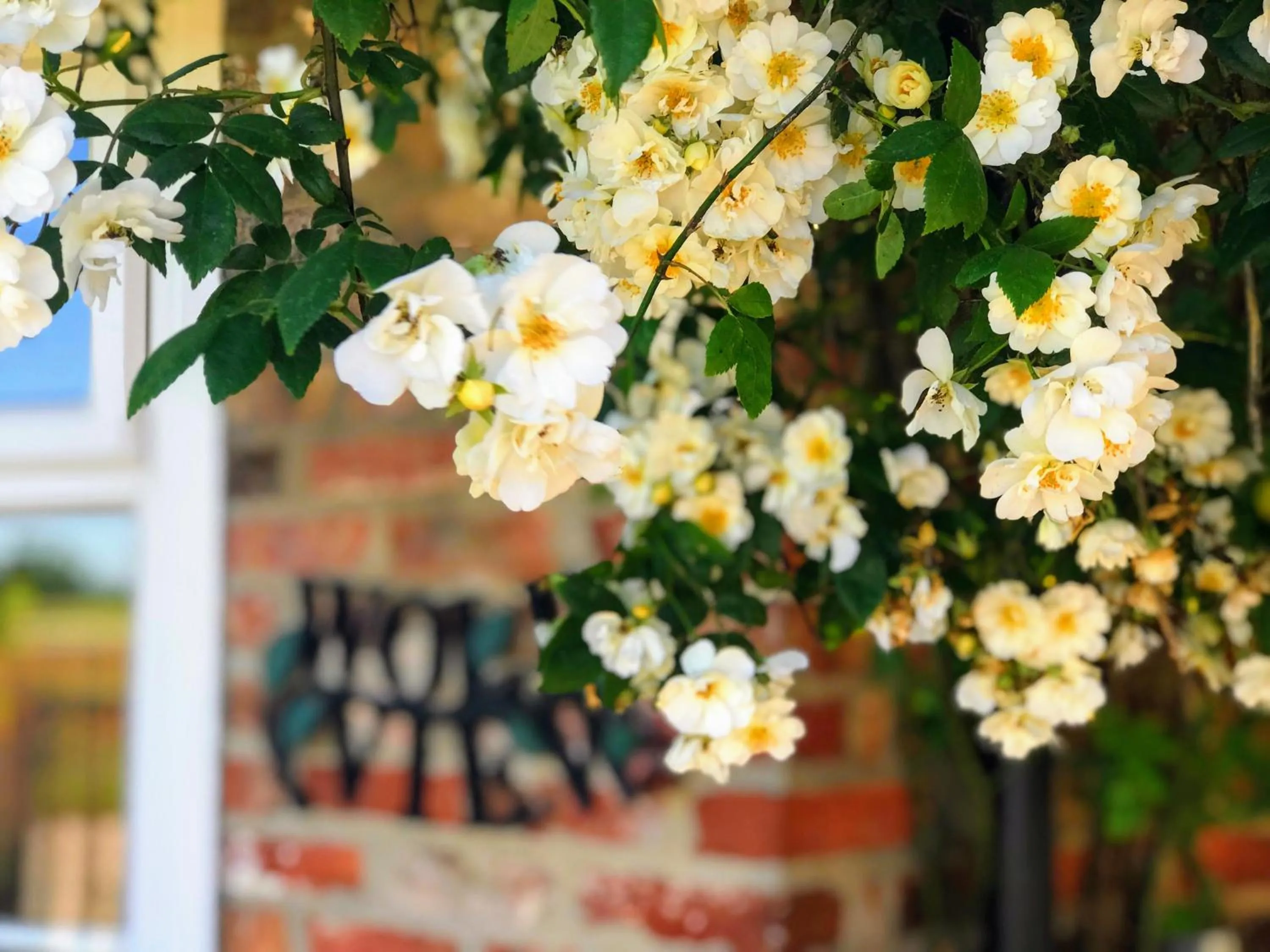 Brambling Fields B&B and Cottages