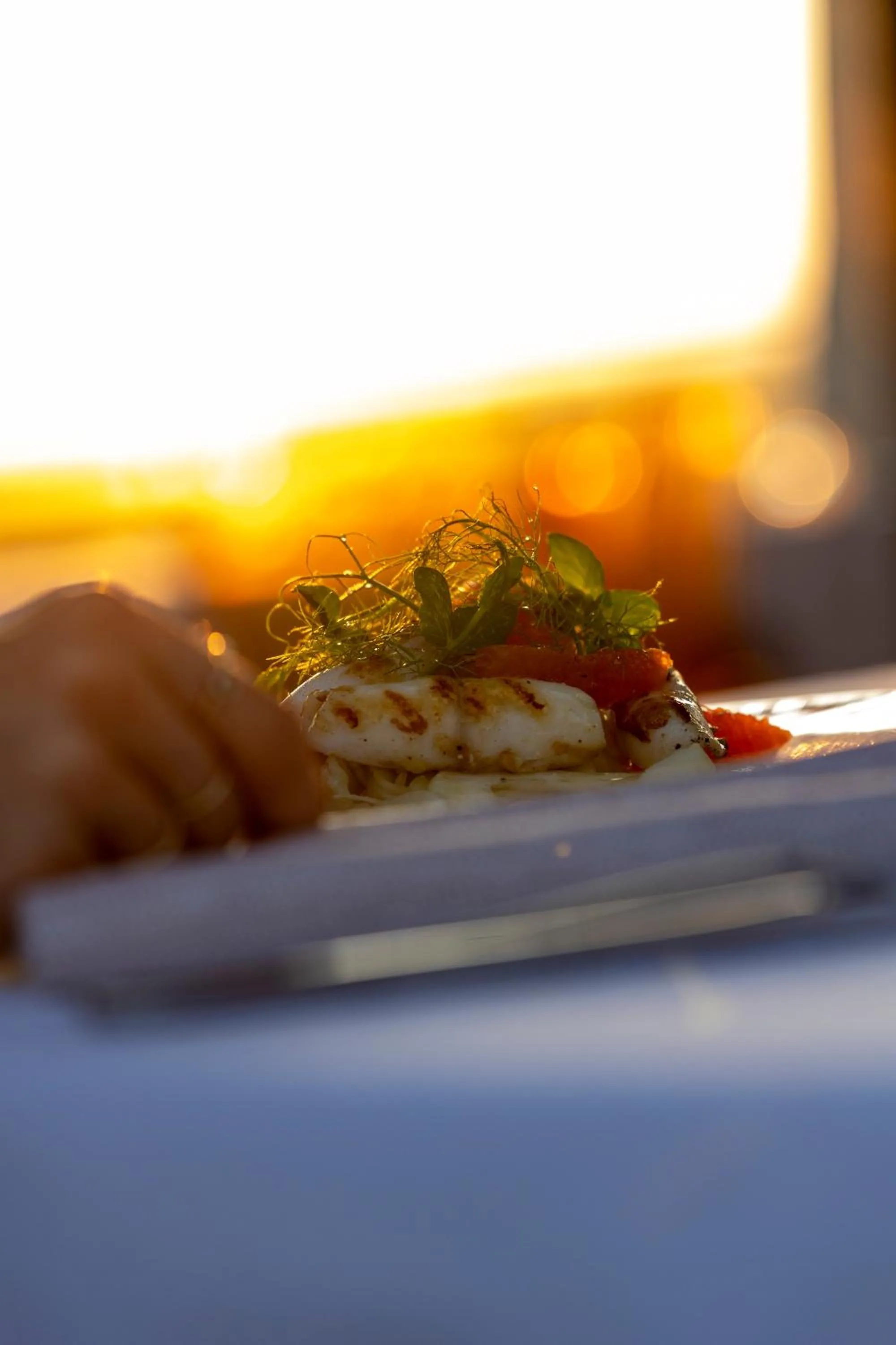 Restaurant/places to eat in Grand Hotel Forlì