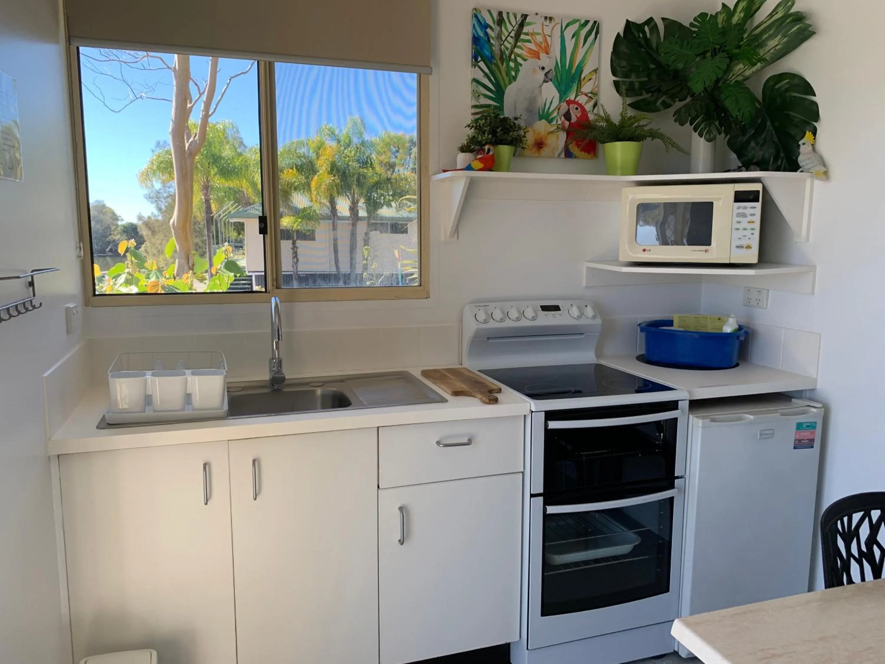 Kitchen or kitchenette in Maroochy River Bungalows