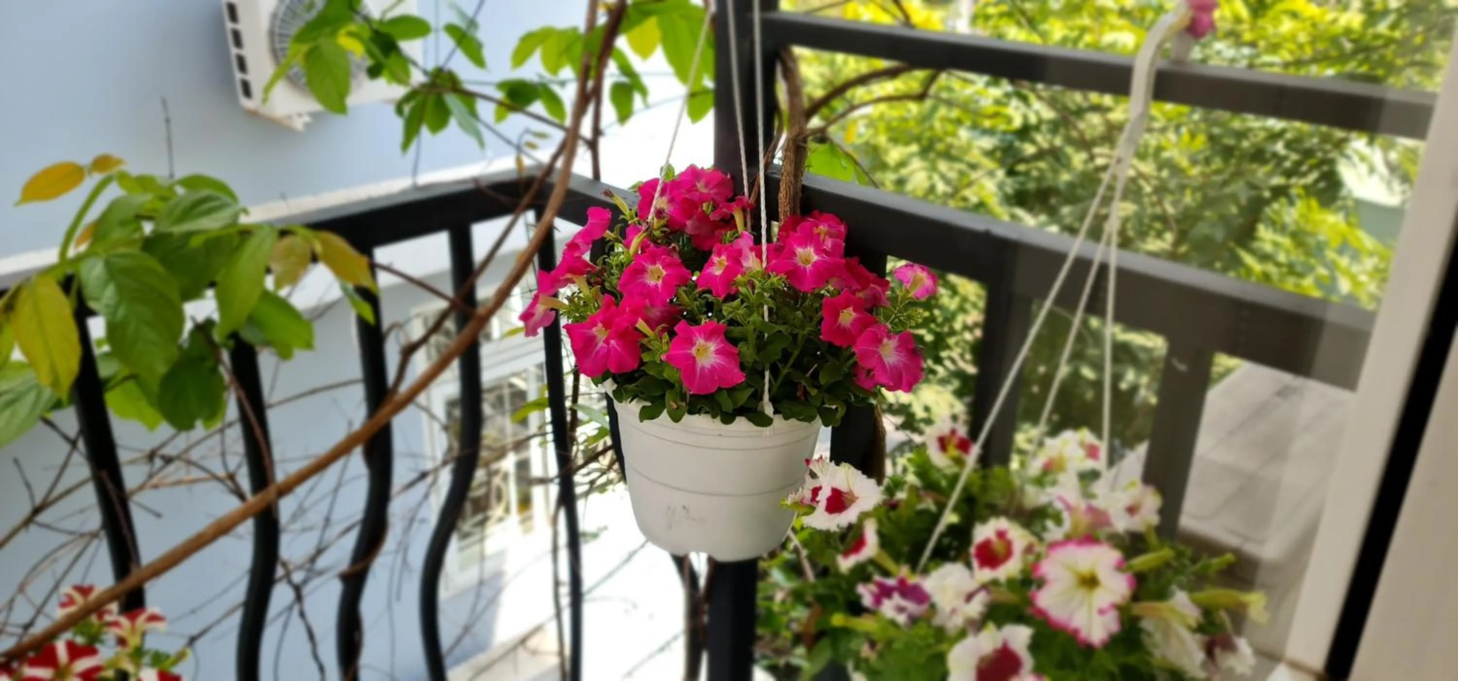 Balcony/Terrace in Spring Light Home