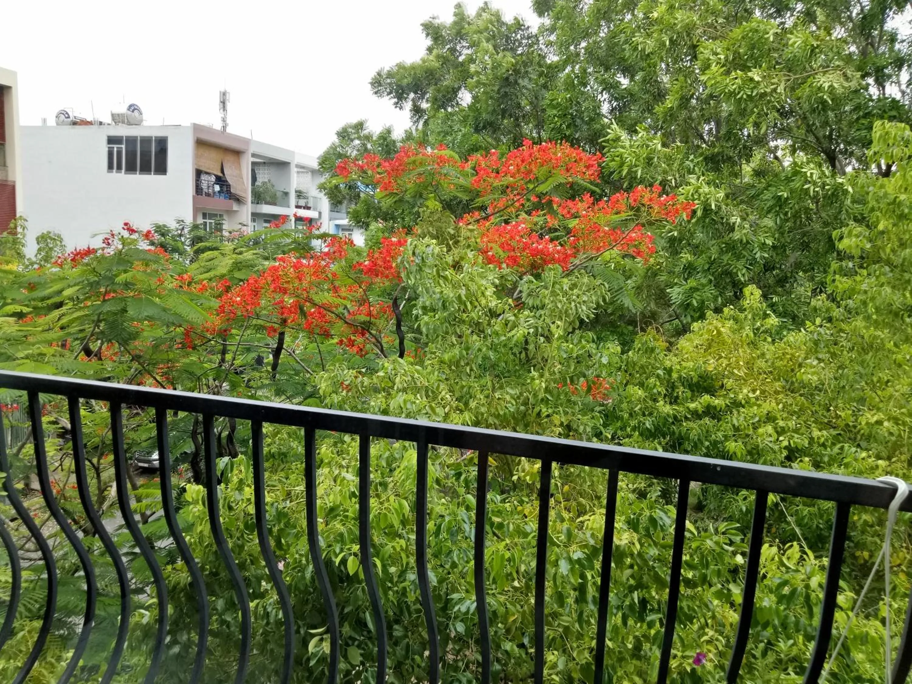 Balcony/Terrace in Spring Light Home