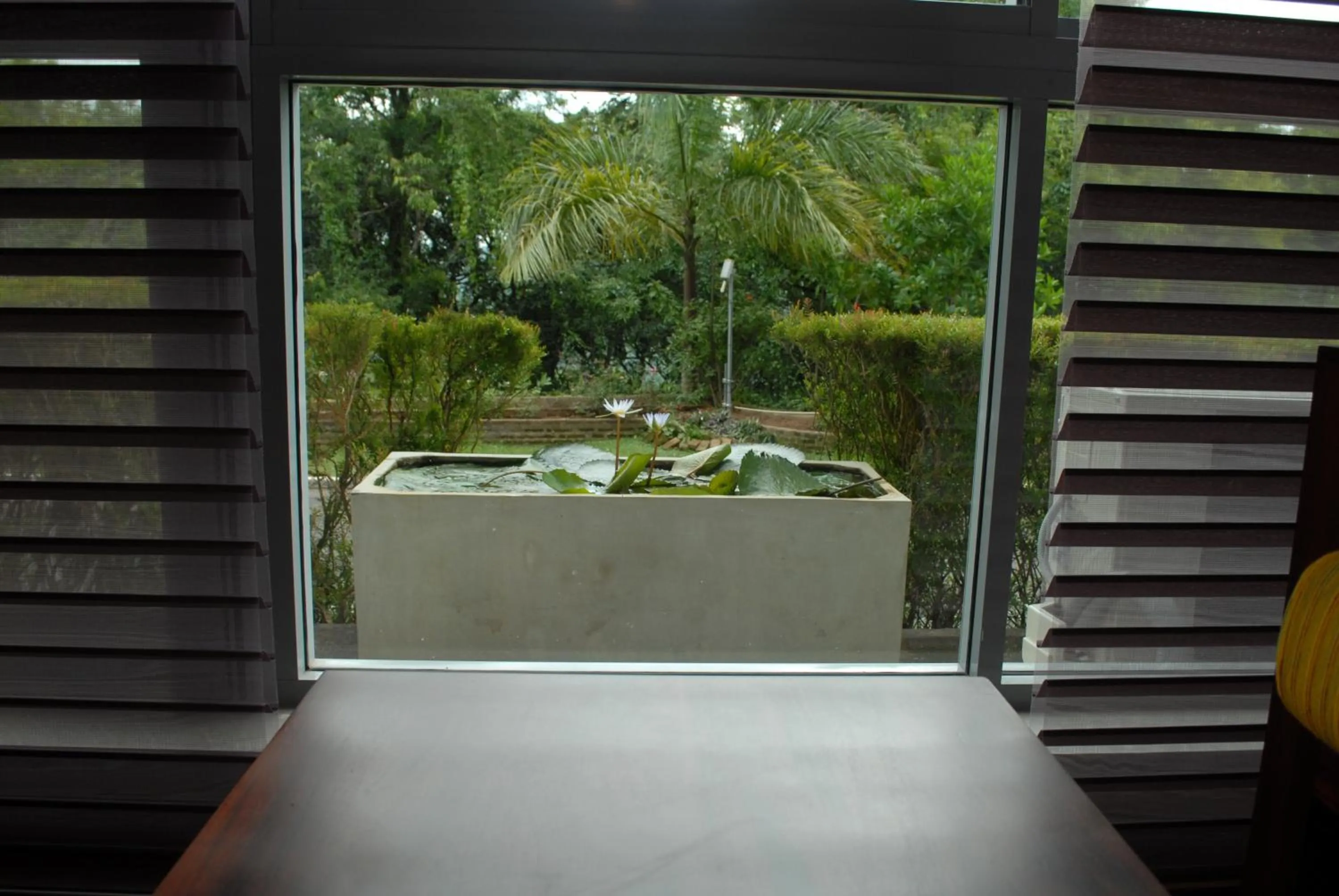 Photo of the whole room in Hotel Topaz