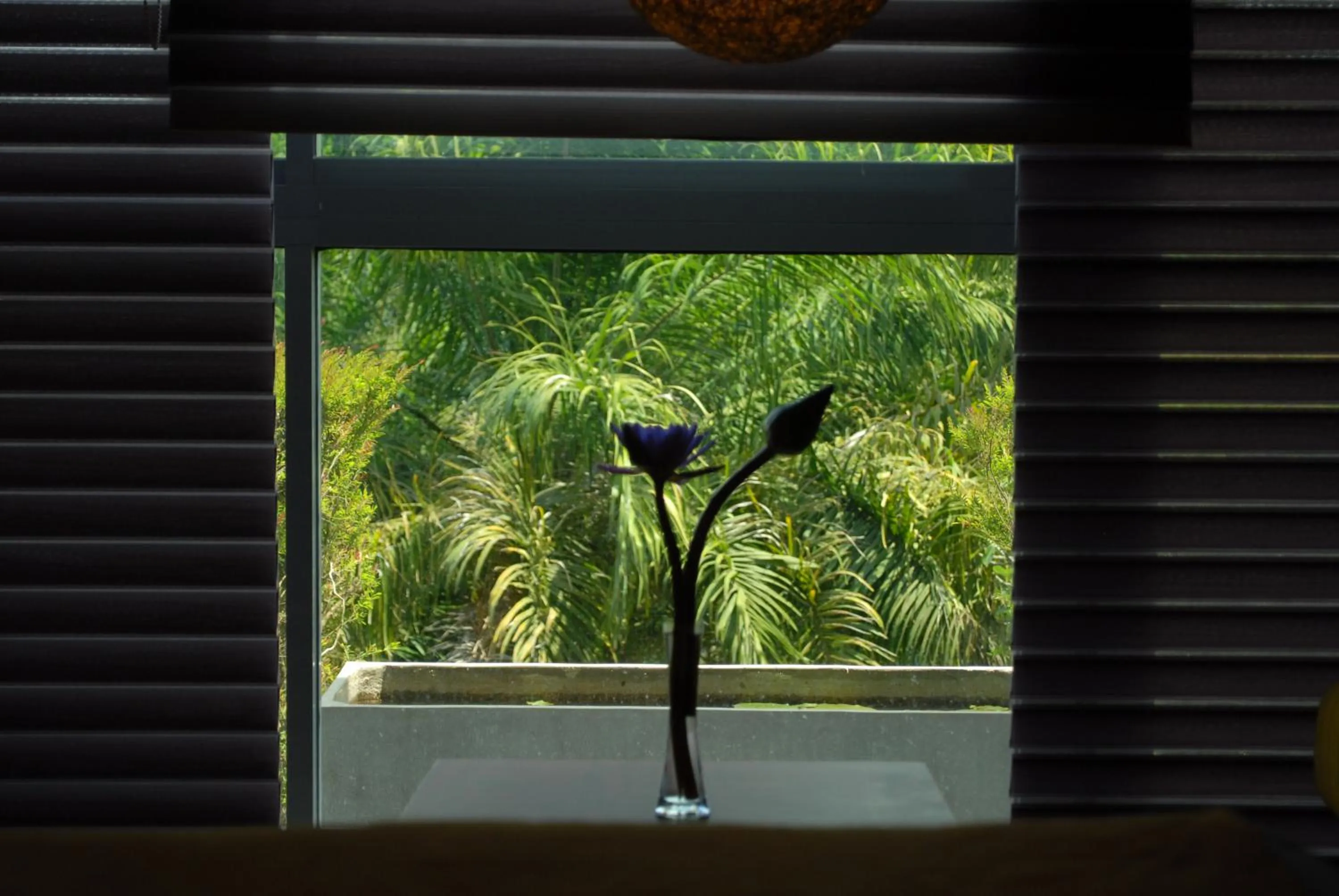 Garden view in Hotel Topaz