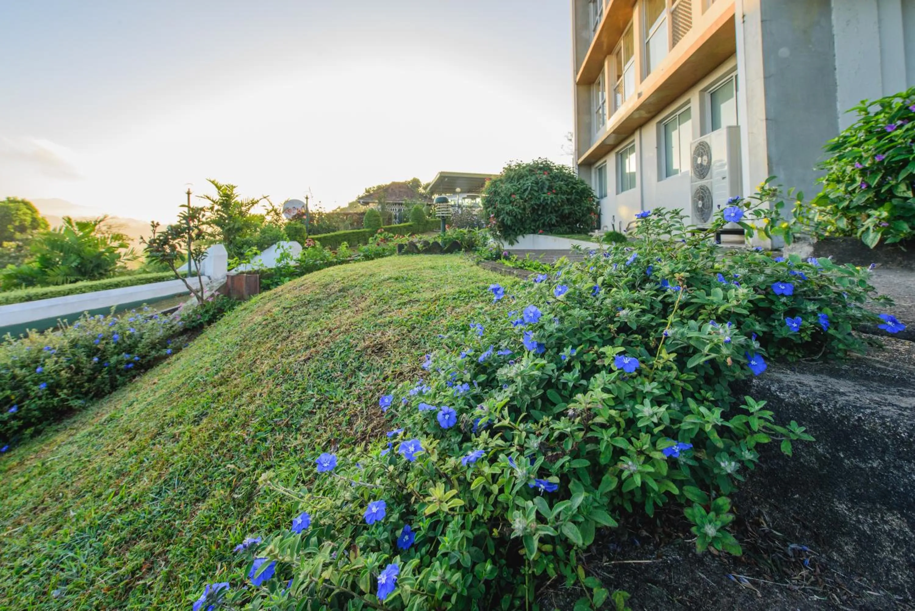 Garden view in Hotel Topaz
