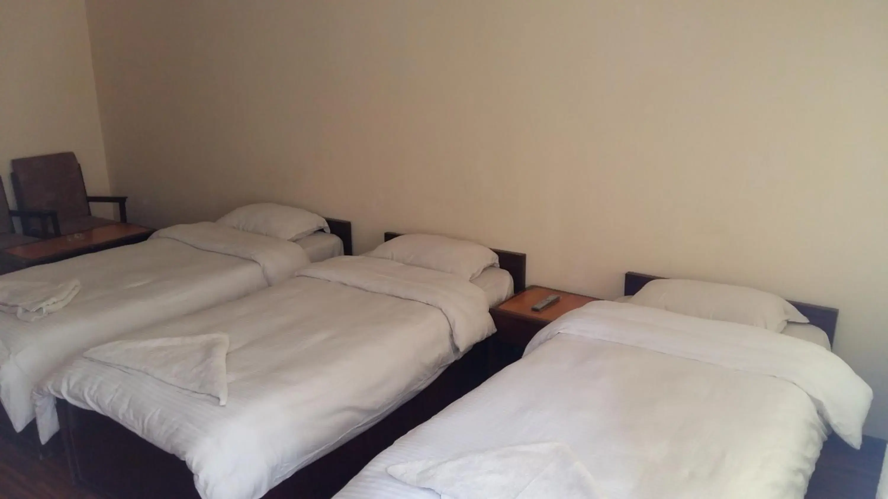 Standard Triple Room - single occupancy in Kathmandu Madhuban Guest House Standard Triple Room - single occupancy in Kathmandu Madhuban Guest House