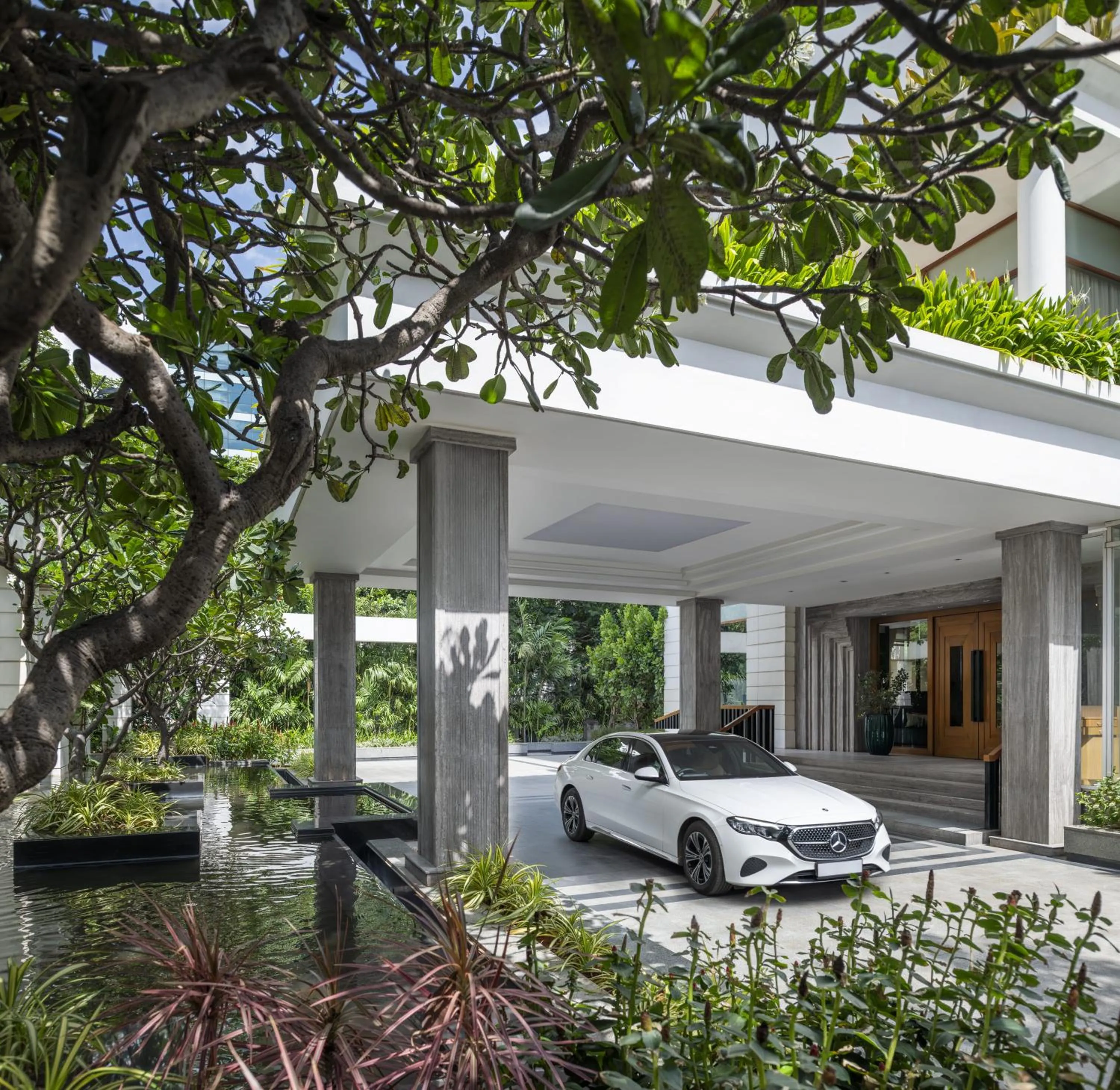 Garden in The Raintree, St. Mary’s Road