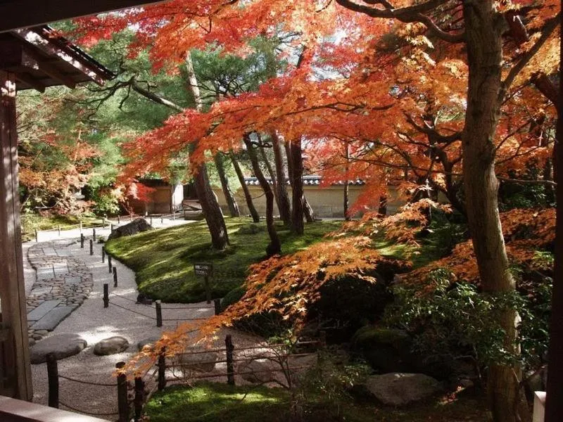 Area and facilities in Saginoyusou