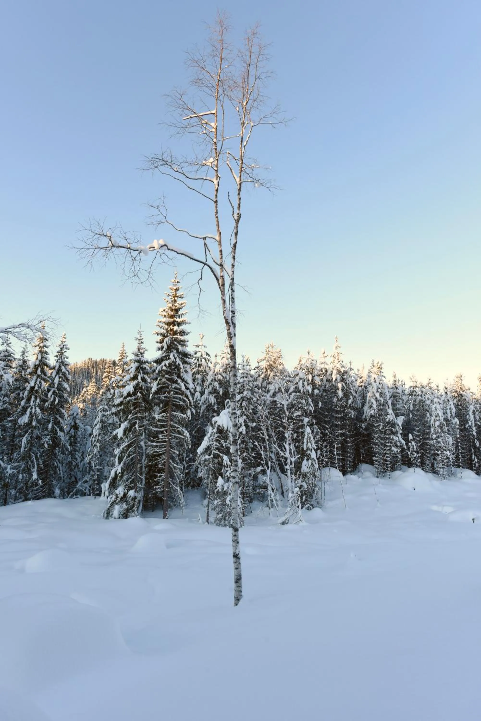 Mountain view in Koselig Hytte i Hemsedal with outdoor Sauna