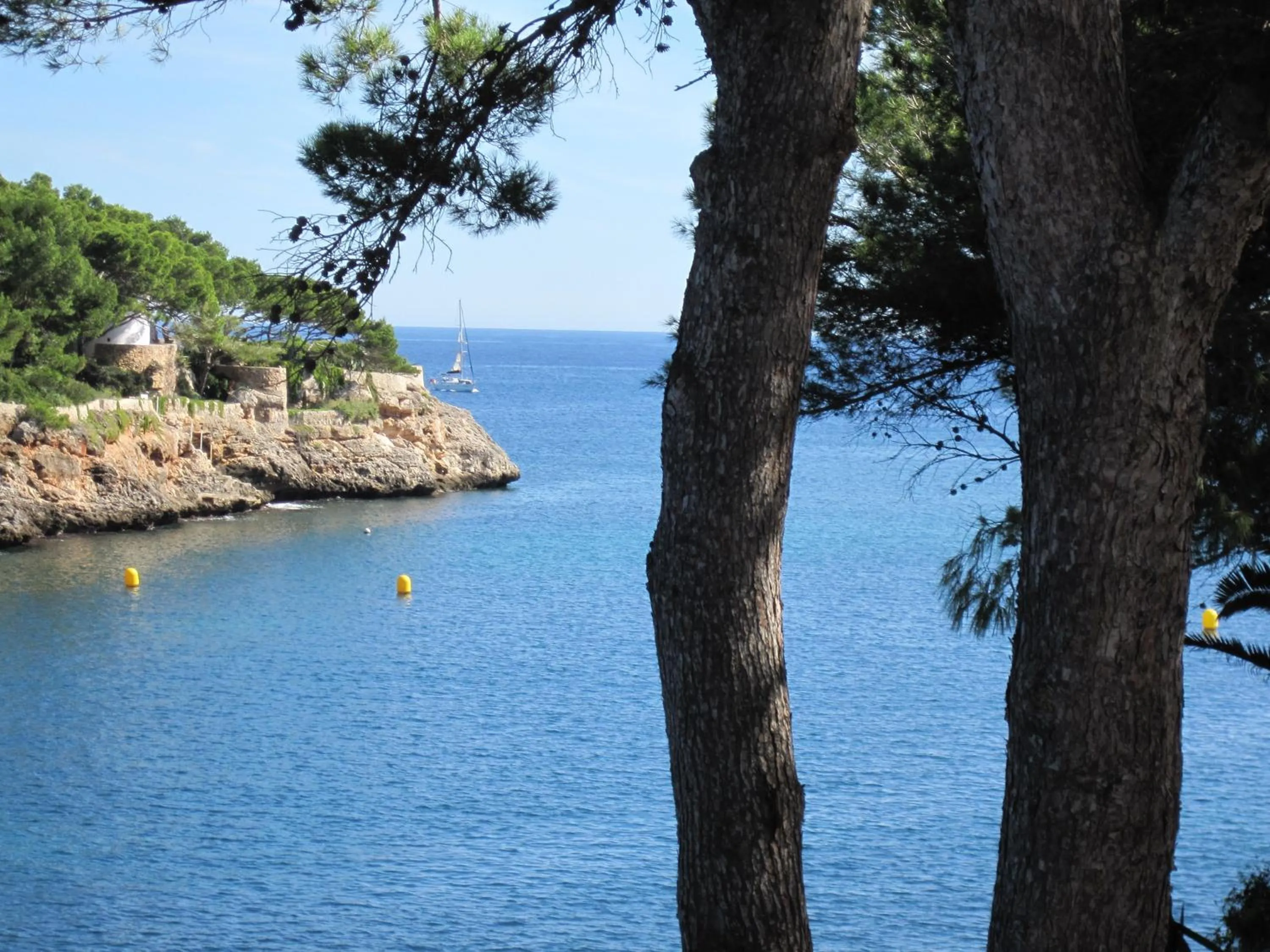 Beach in Fowlers Hotel