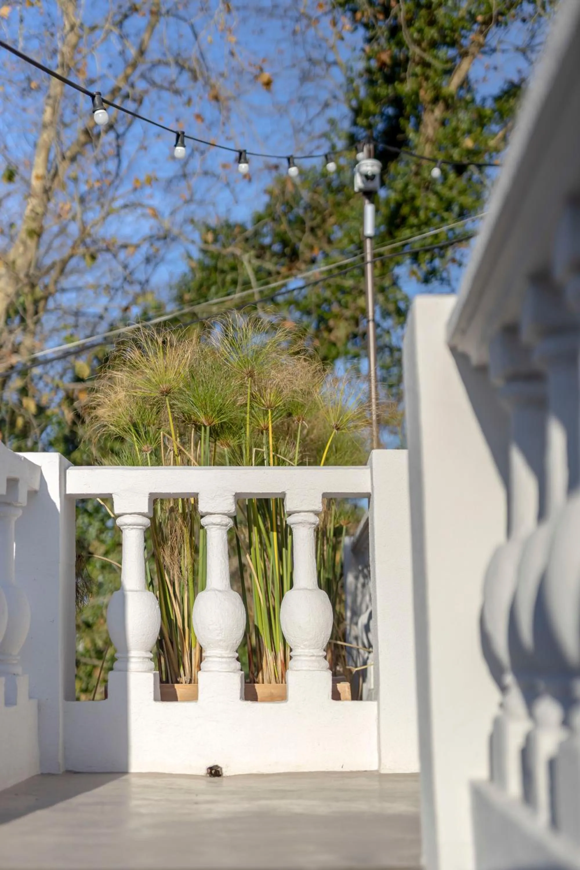 Balcony/Terrace in Casa da Estefânea