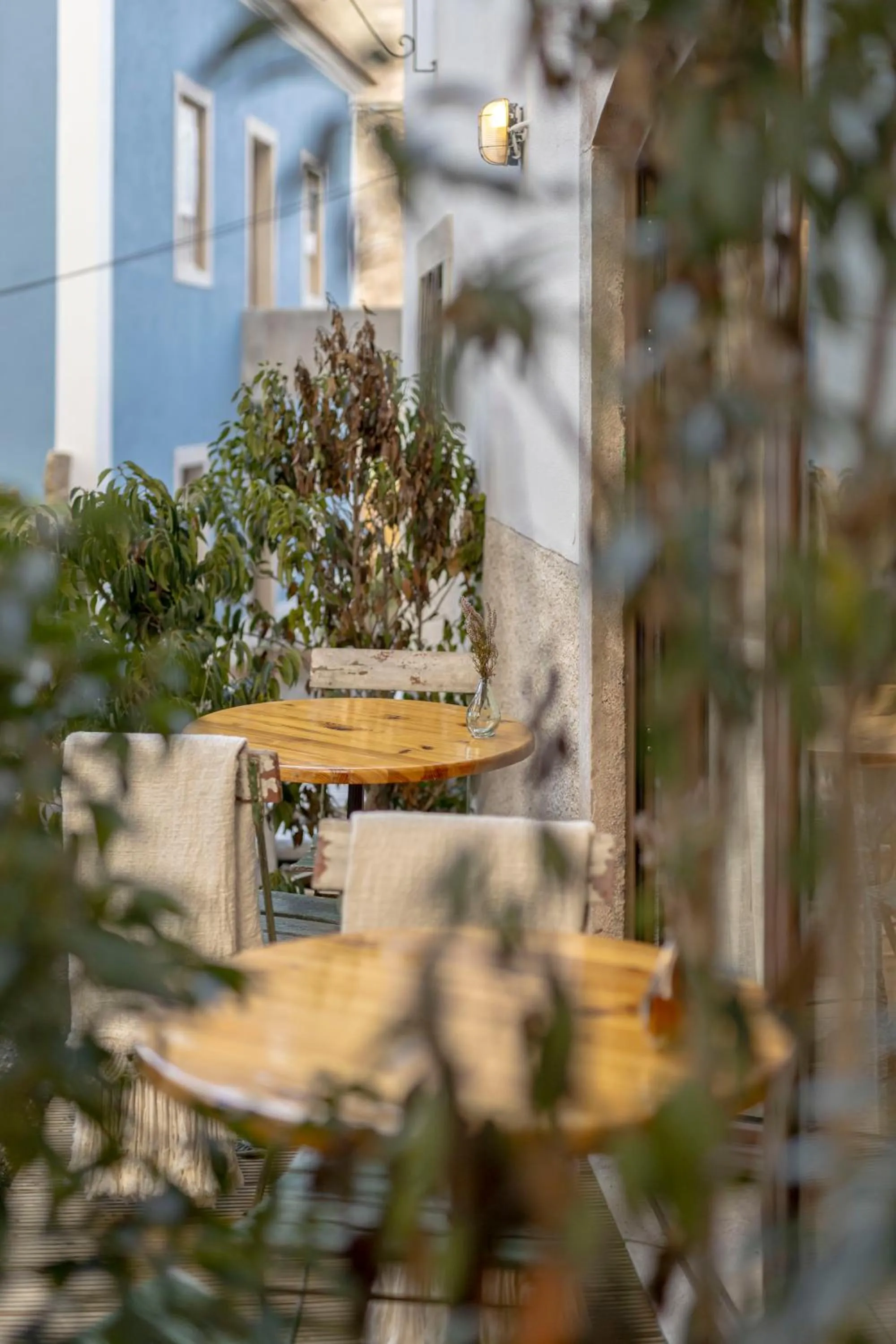 Balcony/Terrace in Casa da Estefânea
