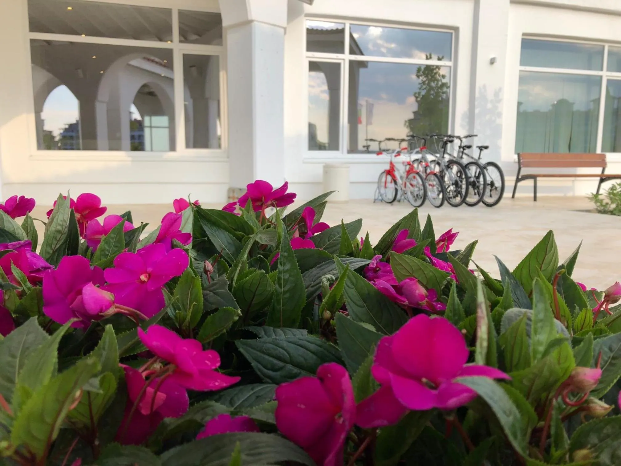 Facade/entrance in Sunrise Blue Magic Resort - All Inclusive