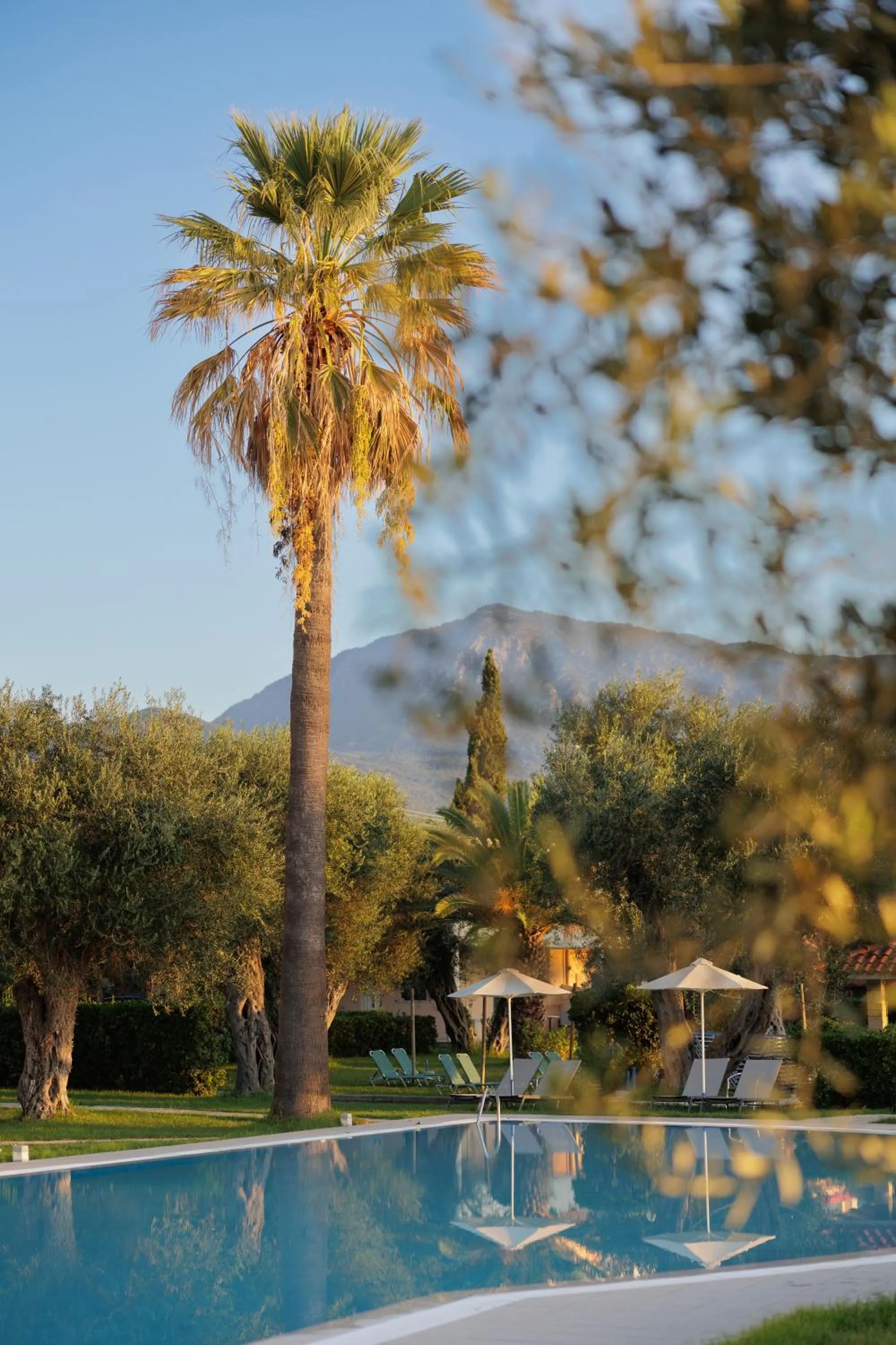 Swimming pool in Elea Beach Hotel