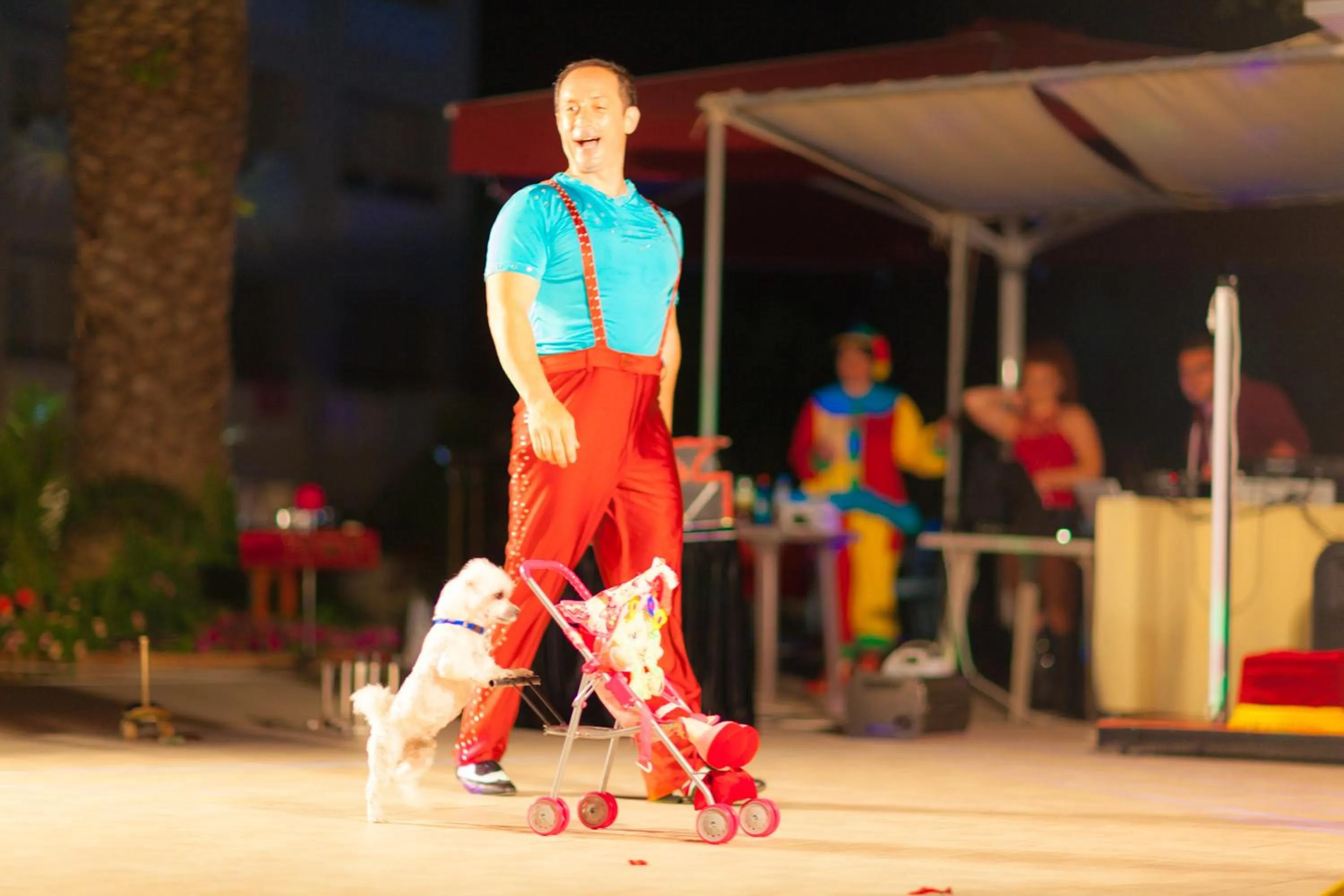 Evening entertainment in Elea Beach Hotel
