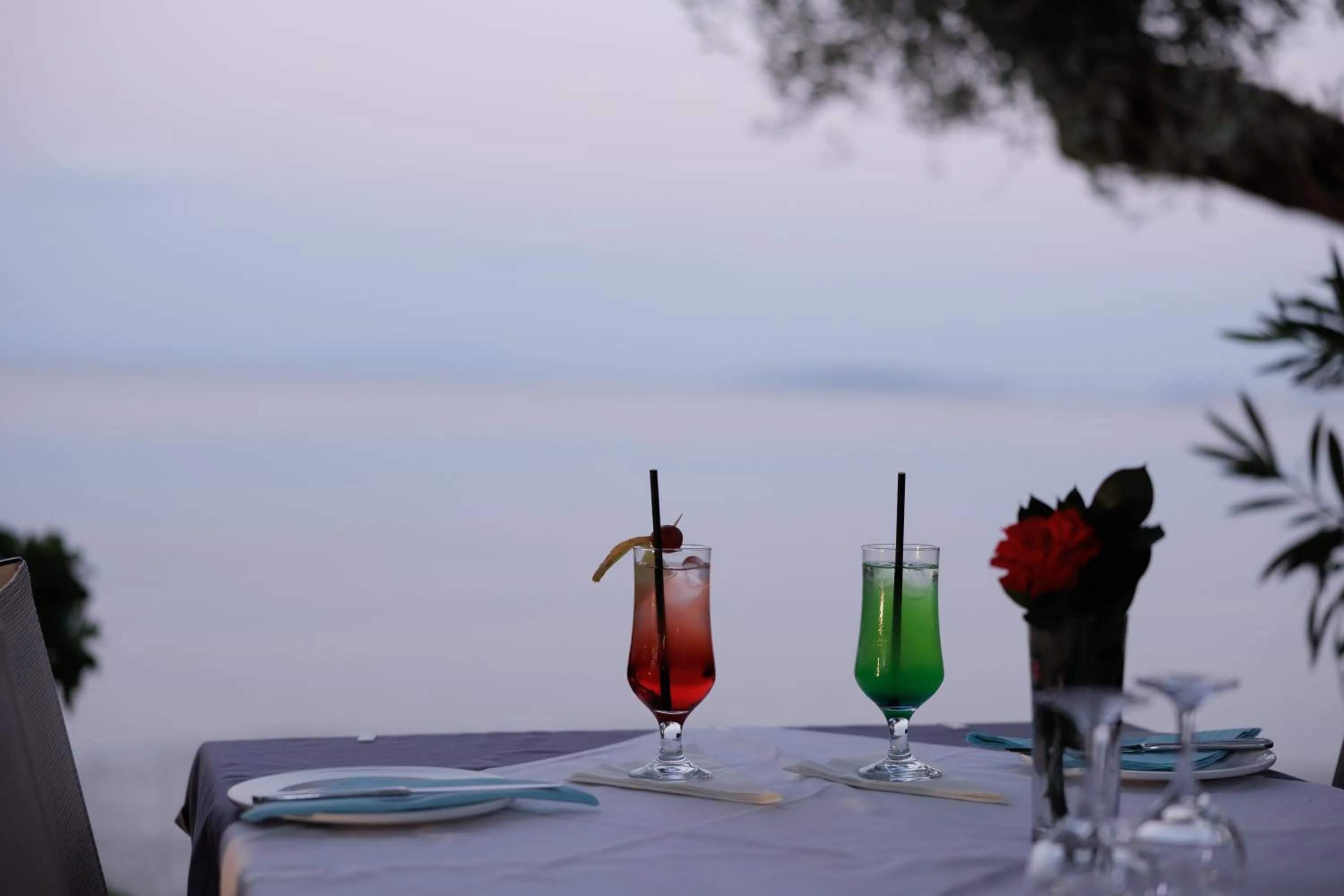 Drinks in Elea Beach Hotel