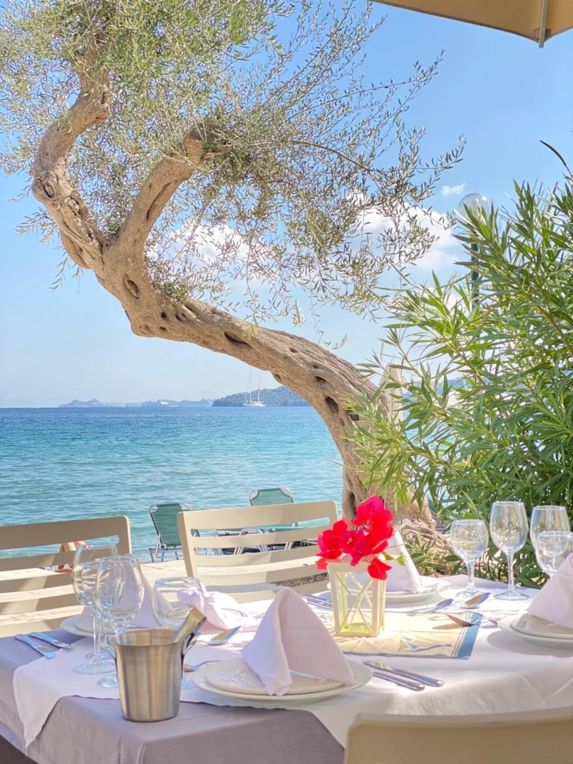 Restaurant/places to eat in Elea Beach Hotel