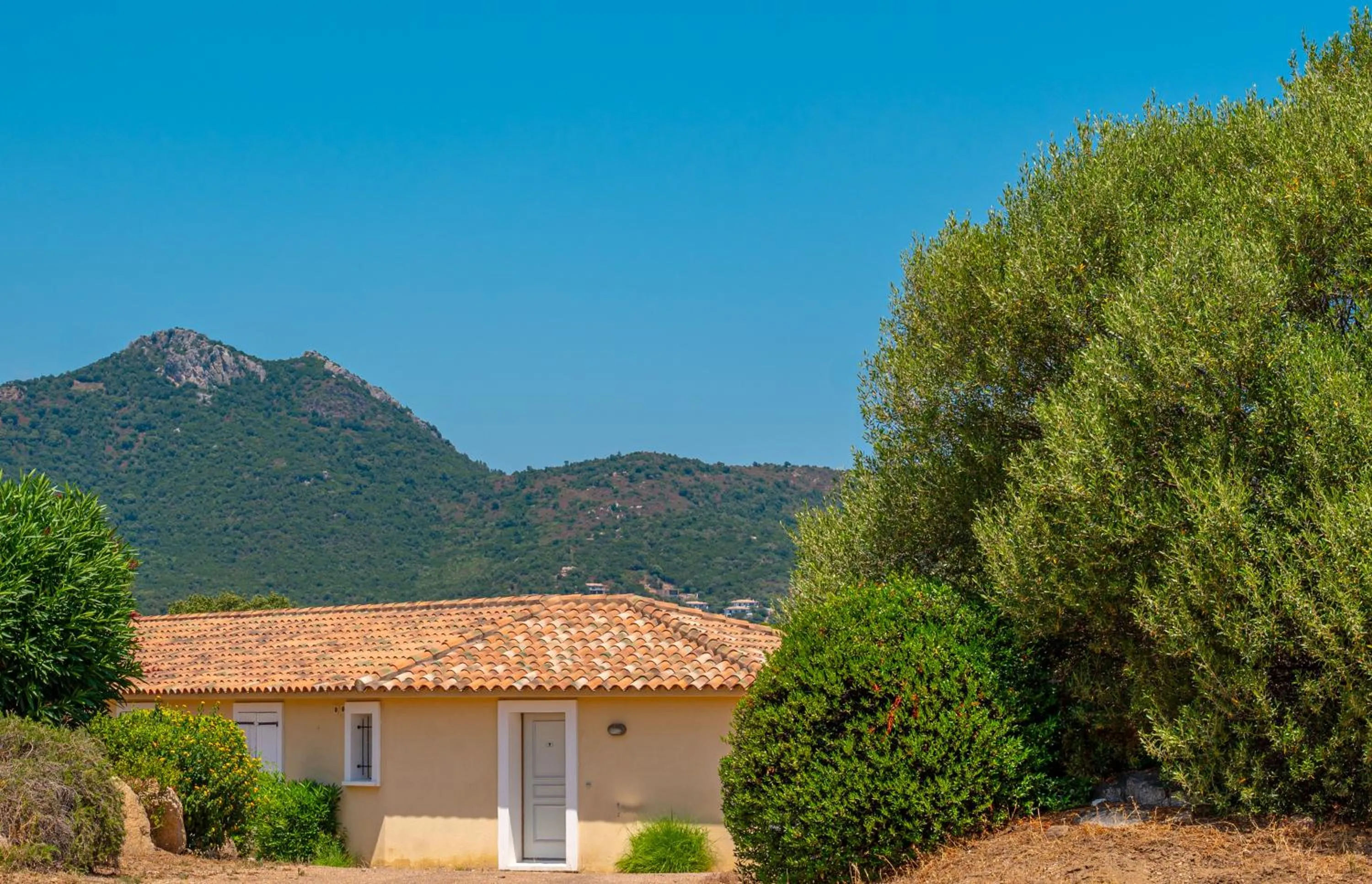 Résidence Odalys San Martinu