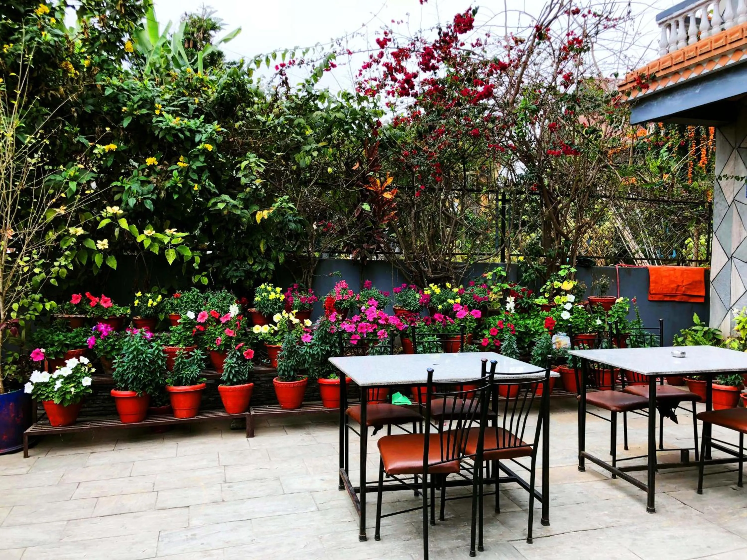Garden in Hotel Grand Holiday