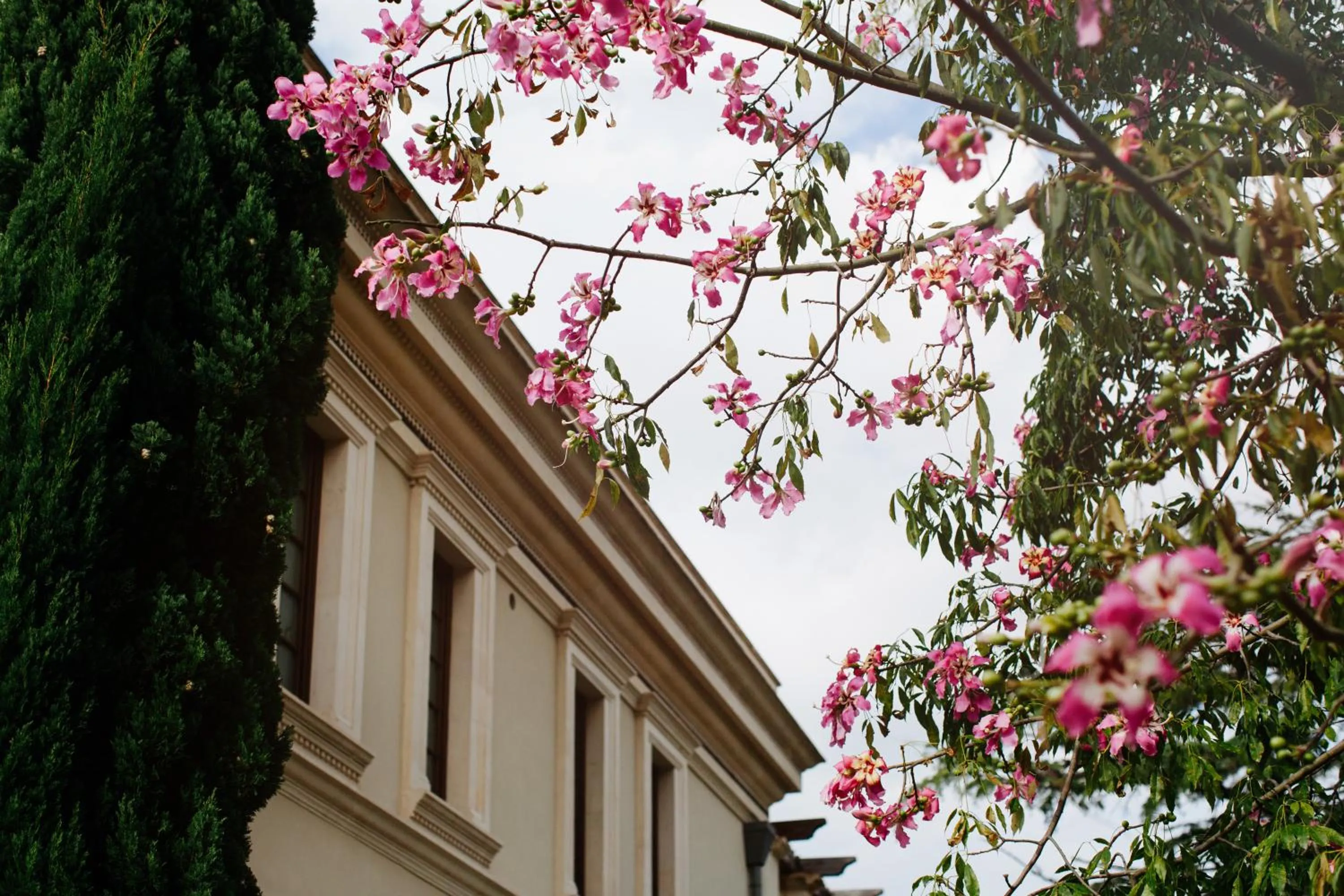 Garden view in The Ashbee Hotel - The Leading Hotels of the World