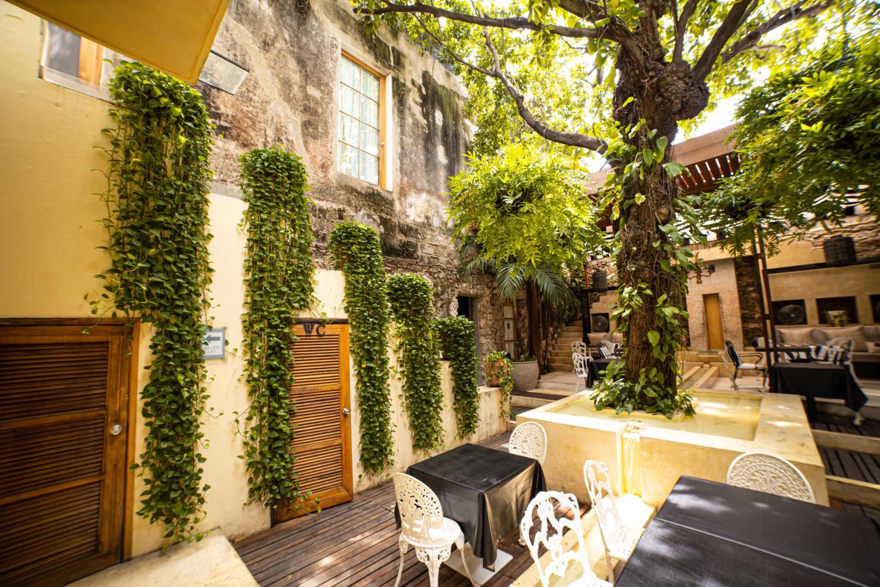 Hotel Casa Lola Deluxe Gallery