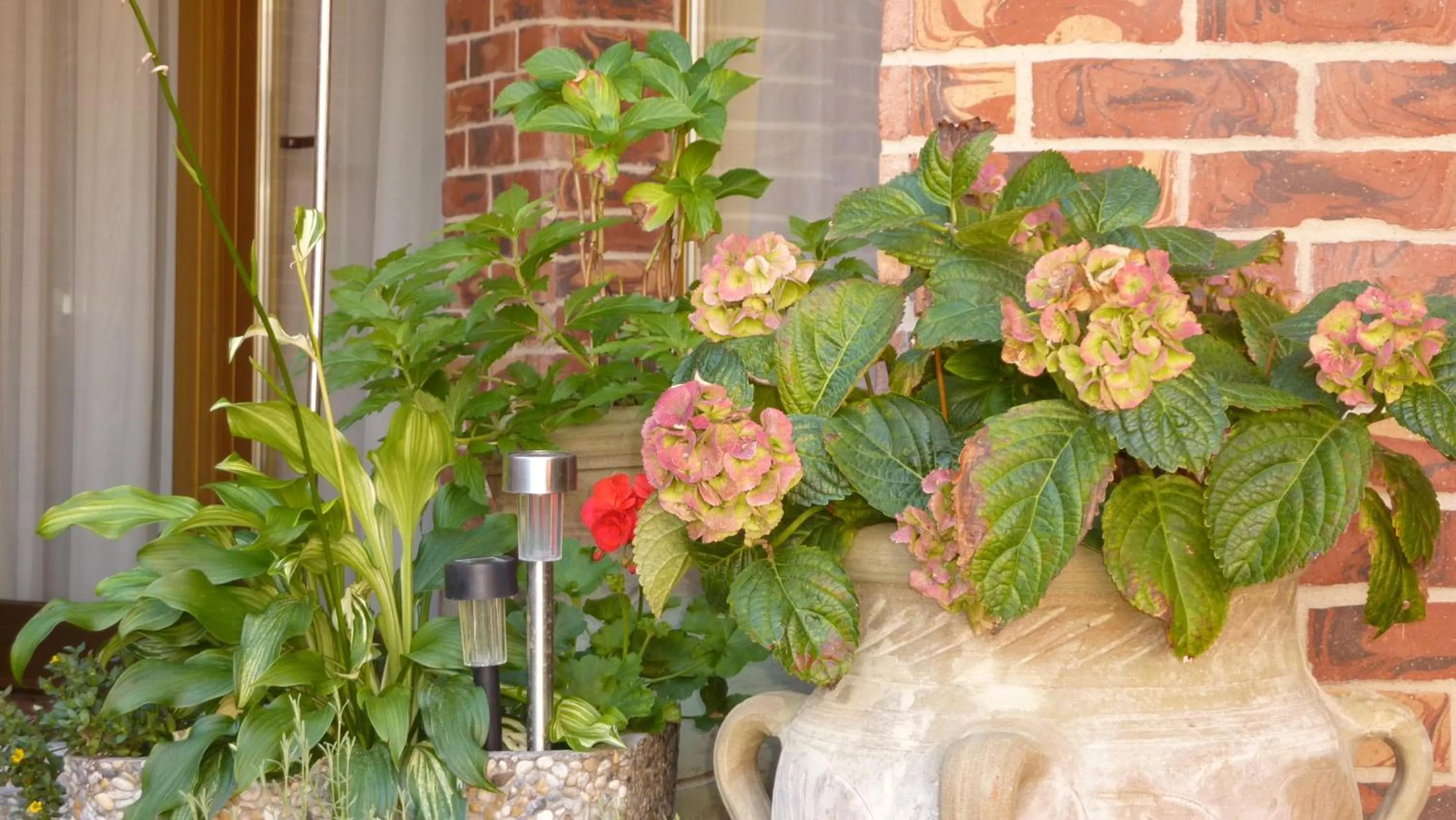 Other in Hotel Banderium