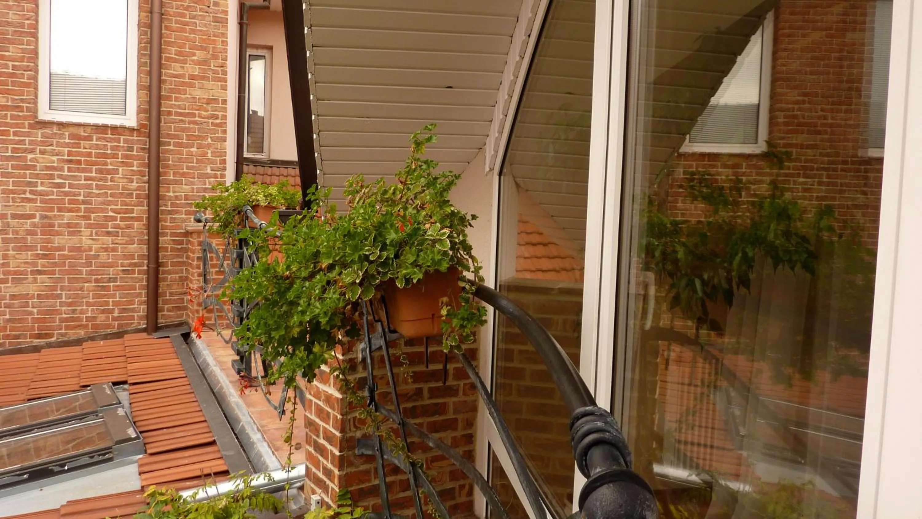 Balcony/Terrace in Hotel Banderium