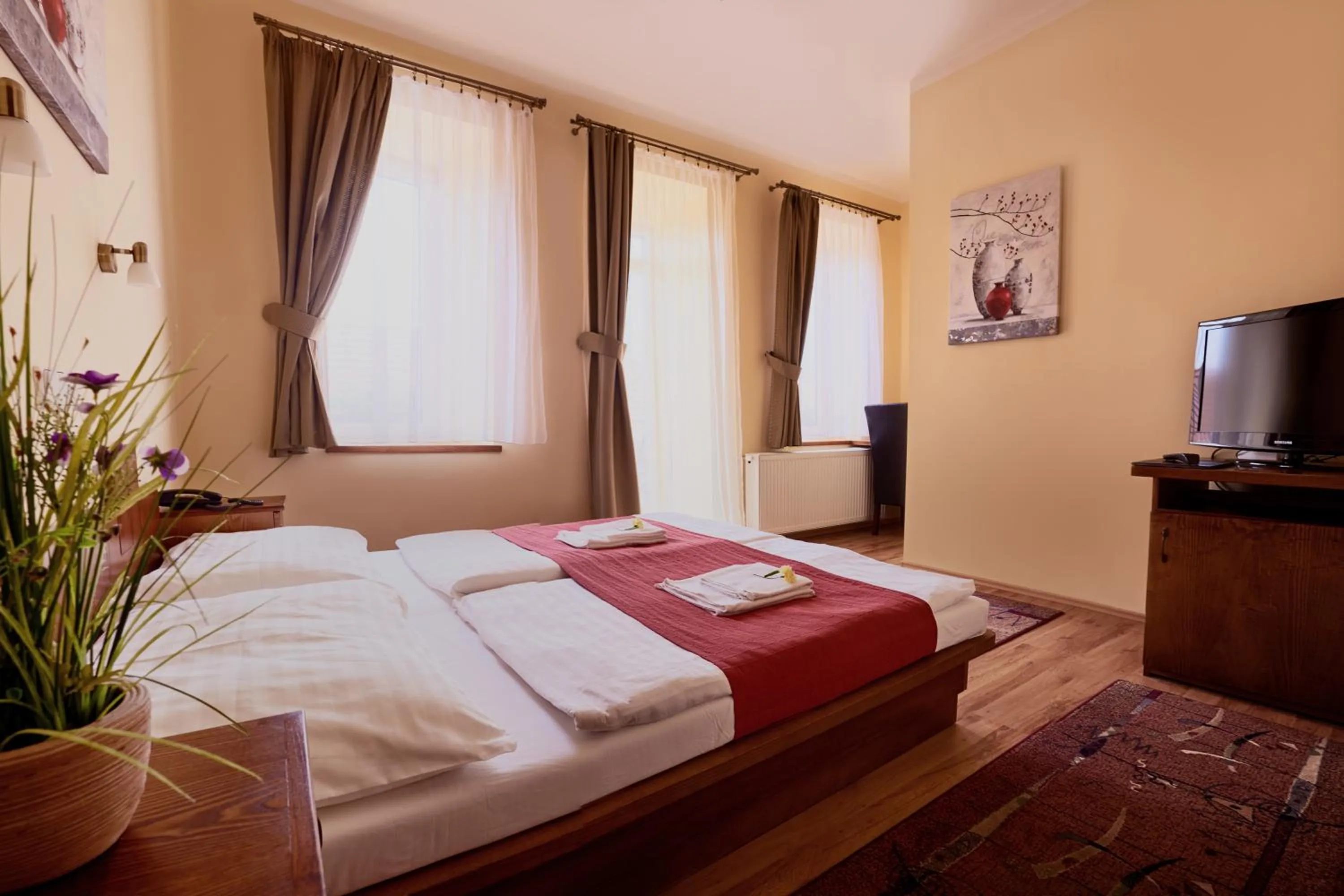 TV and multimedia, Bed in Hotel Banderium